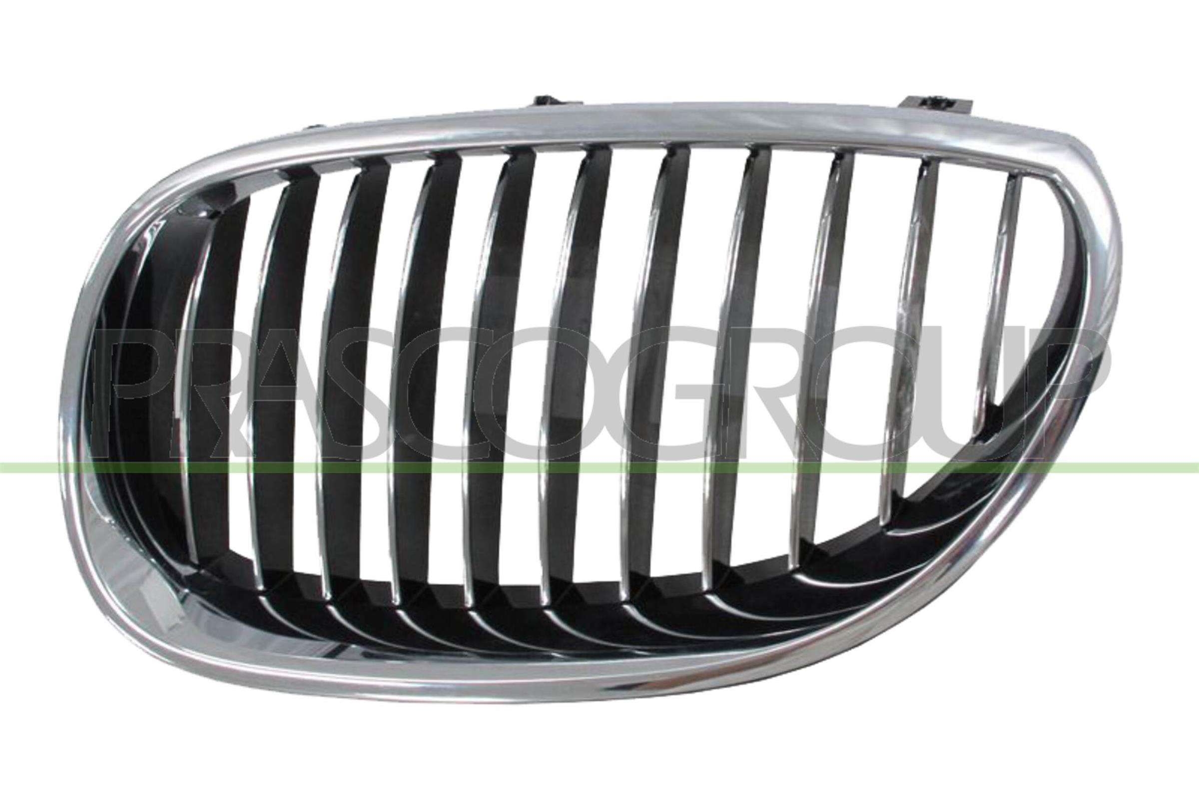 PRASCO Kølergitter bm0472004 venstre for BMW