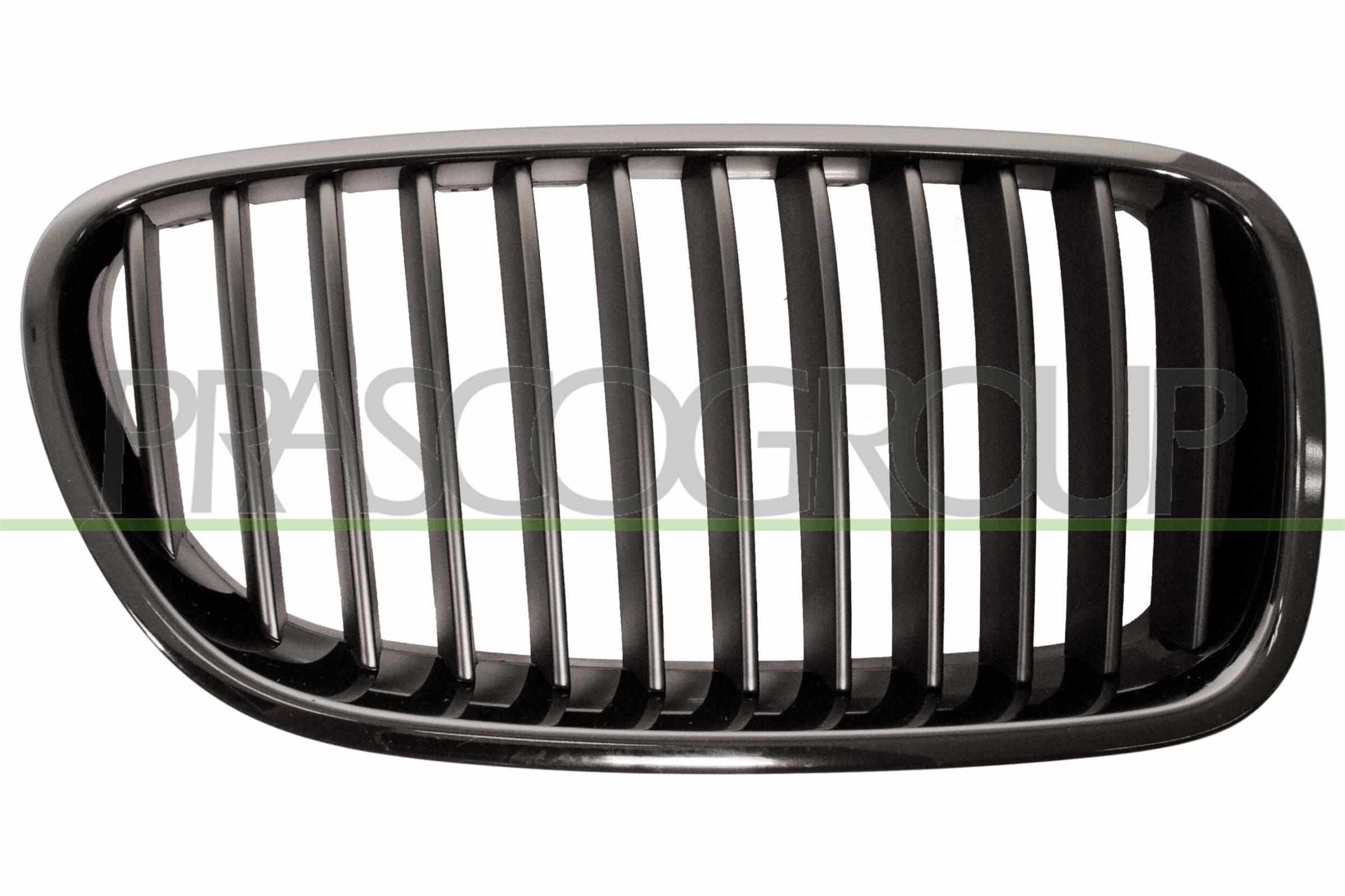 PRASCO Kølergitter bm0482003 højre for BMW