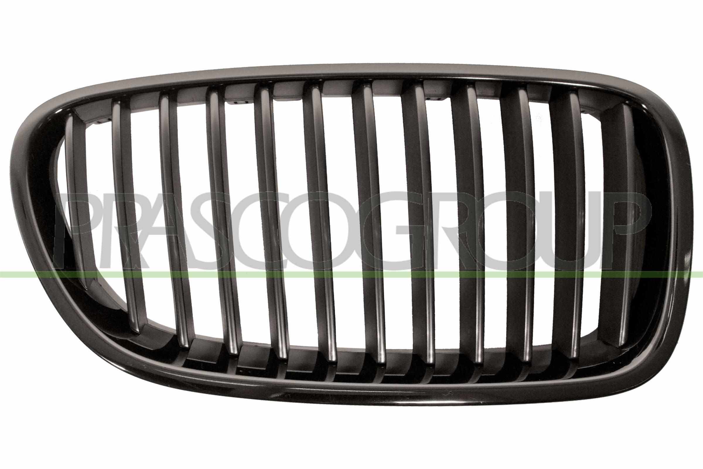 PRASCO Kølergitter bm0492003 højre for BMW