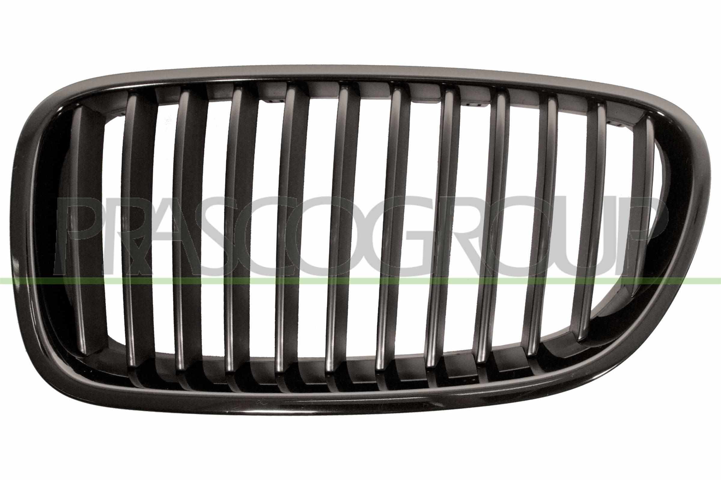 PRASCO Kølergitter bm0492004 venstre for BMW
