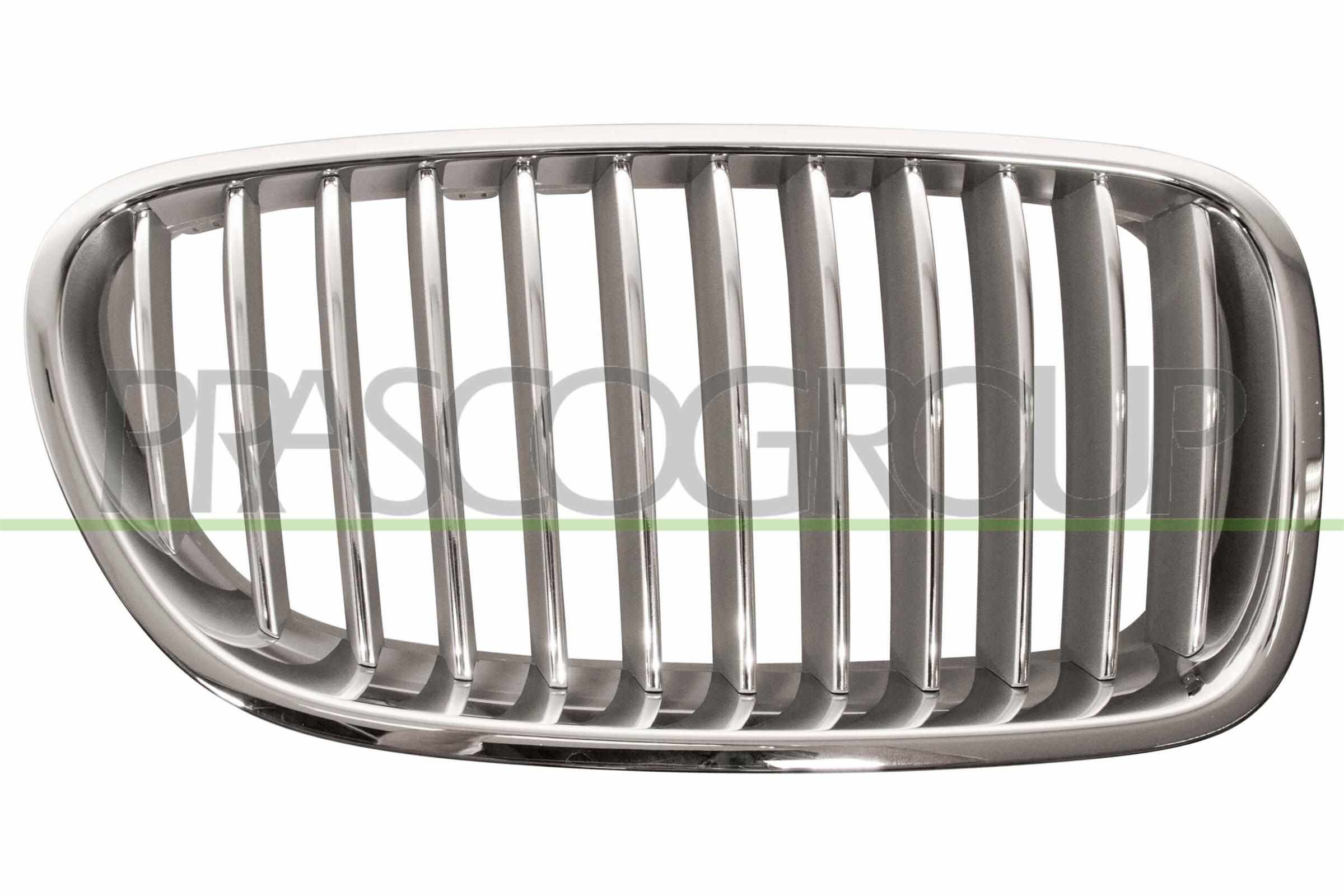 PRASCO Kølergitter bm0492013 højre for BMW