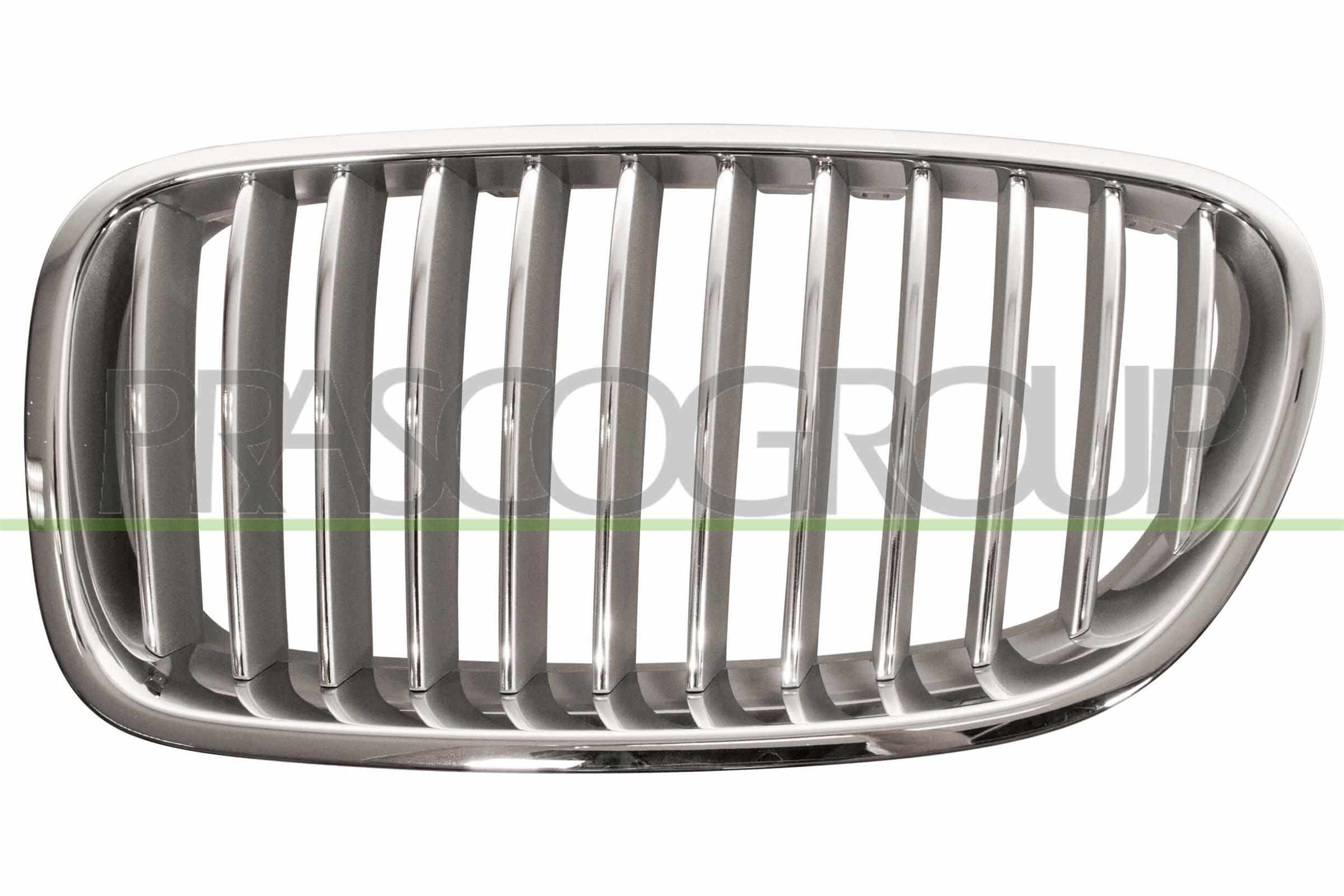 PRASCO Kølergitter bm0492014 venstre for BMW