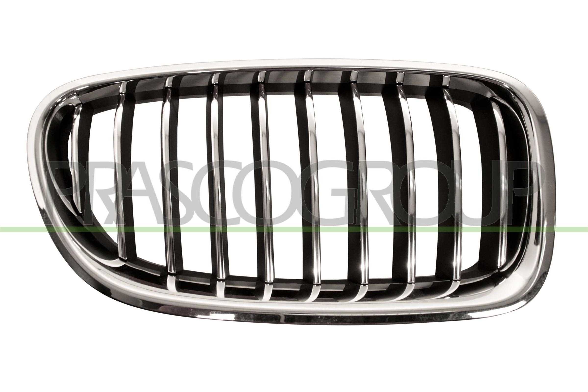 PRASCO Kølergitter bm0502003 højre for BMW