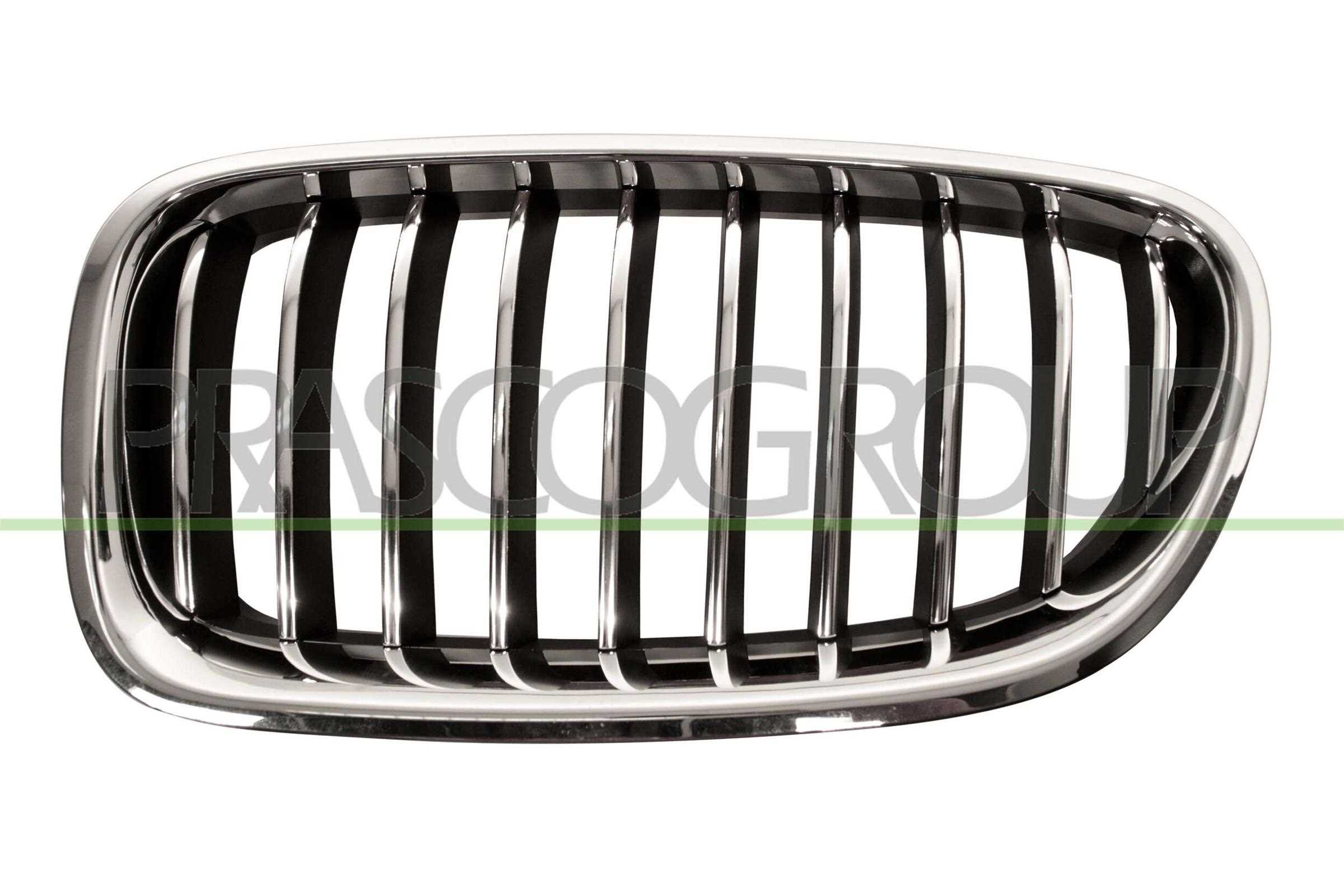 PRASCO Kølergitter bm0502004 venstre for BMW