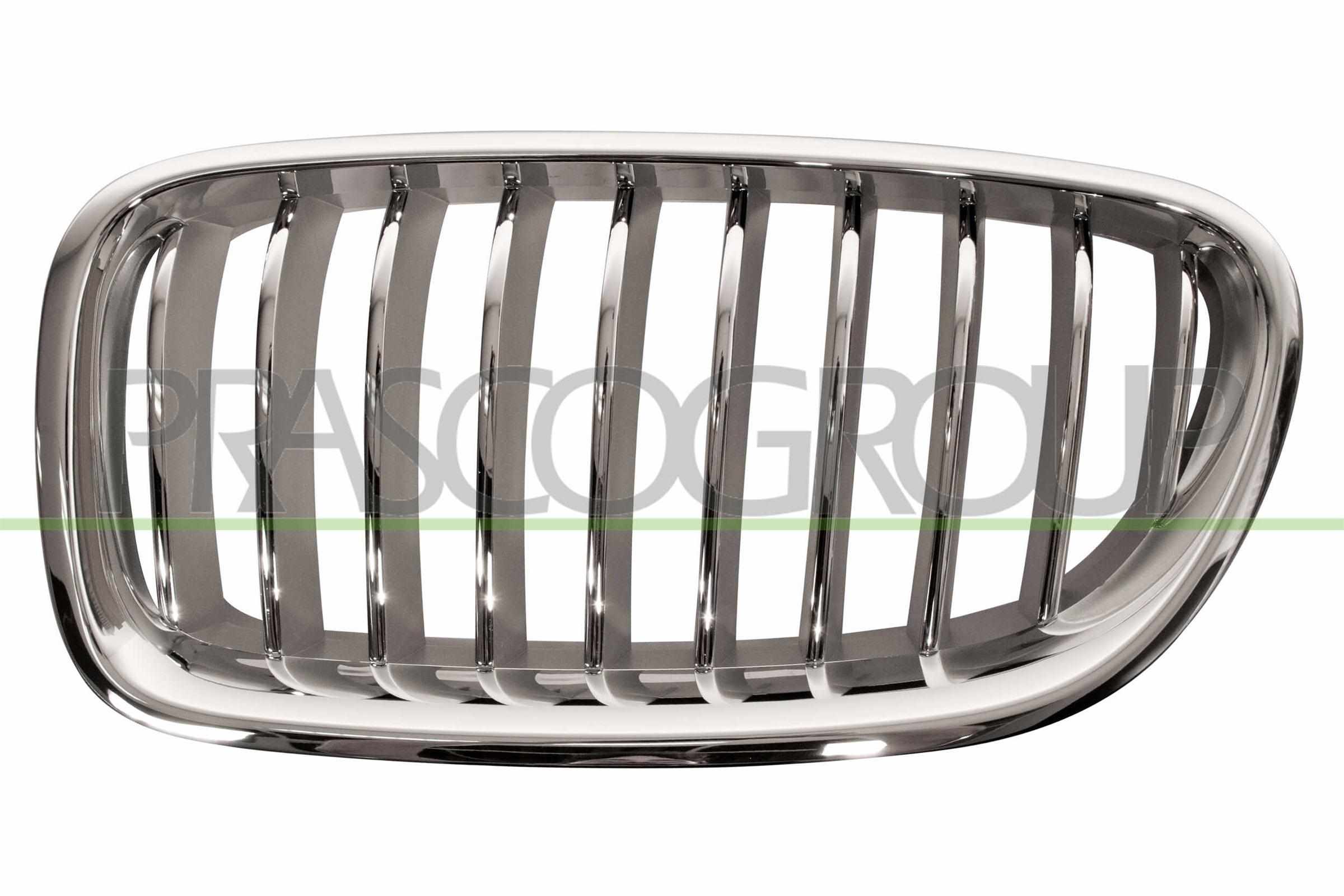 PRASCO Kølergitter bm0502014 venstre for BMW