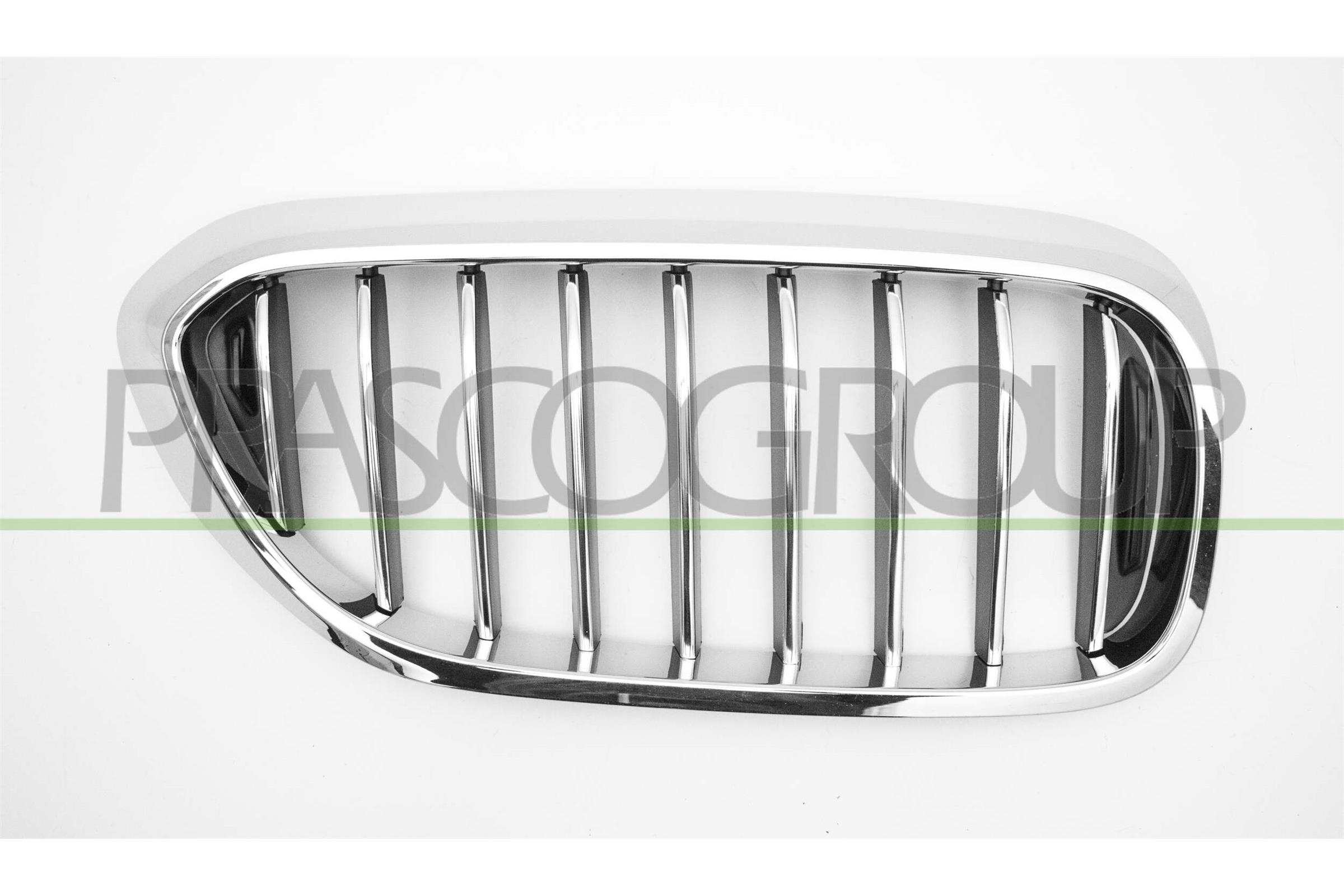 PRASCO Kølergitter bm0522003 højre for BMW