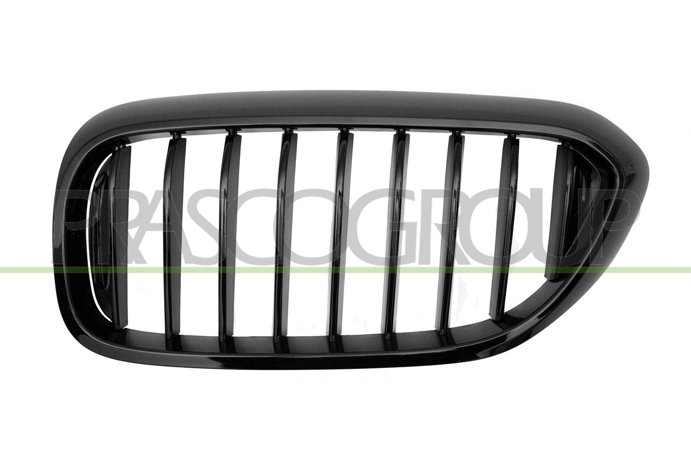 PRASCO Kølergitter bm0532004 venstre for BMW