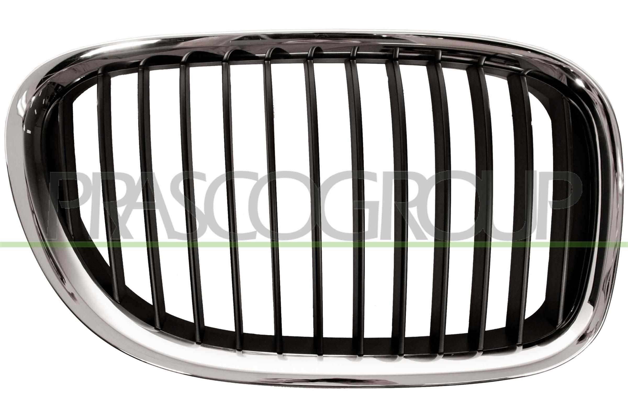 PRASCO Kølergitter bm1012003 højre for BMW
