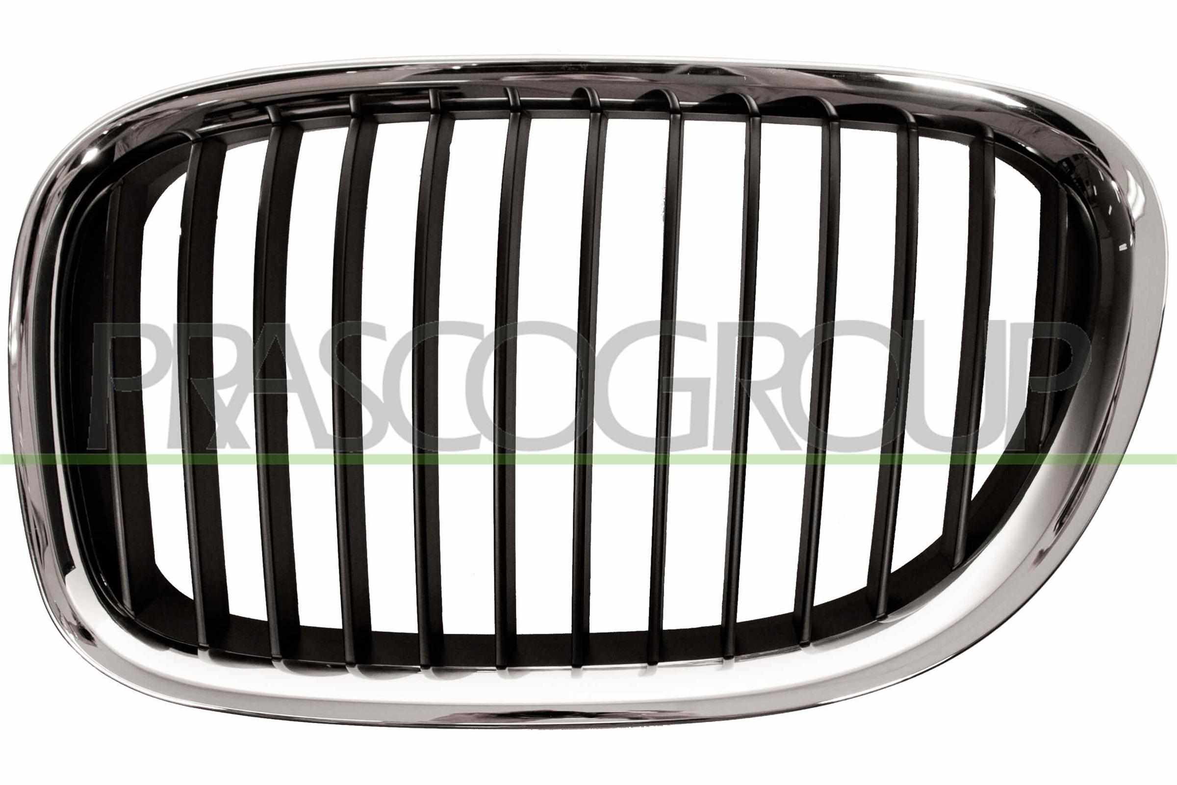 PRASCO Kølergitter bm1012004 venstre for BMW