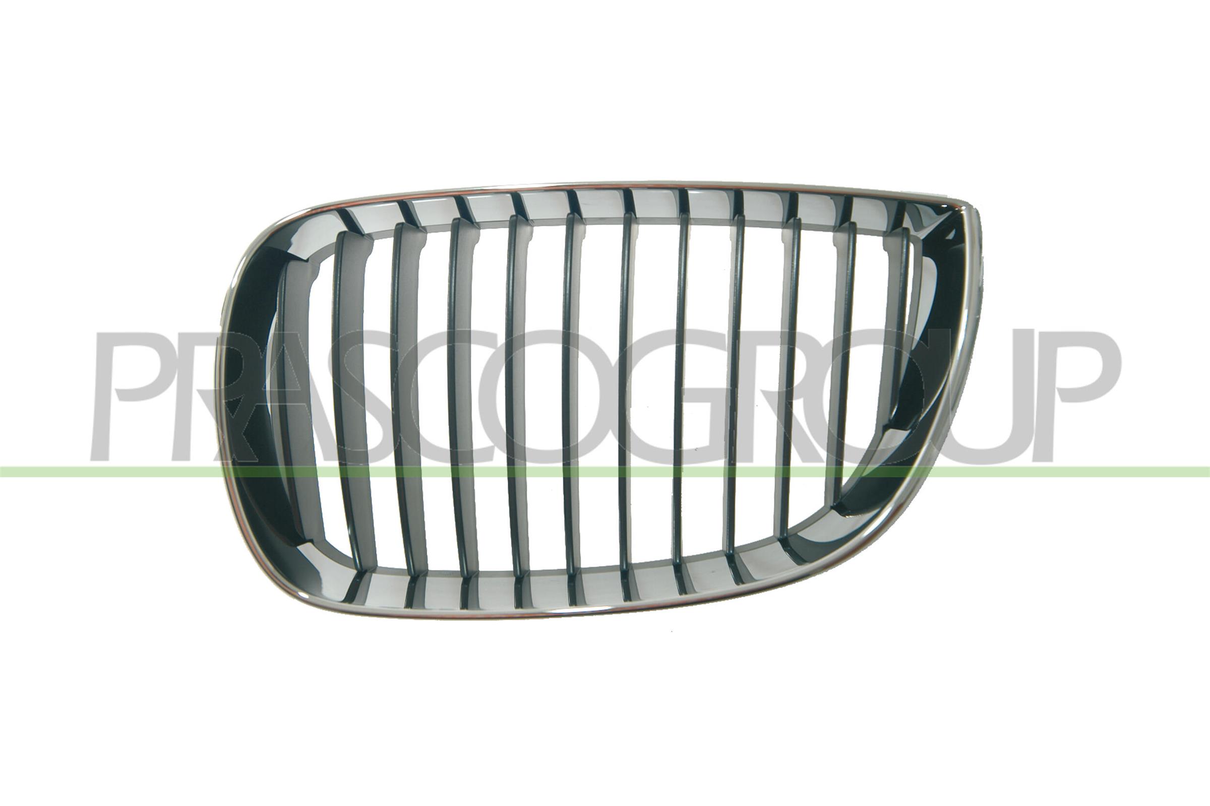 PRASCO Kølergitter bm1202004 venstre for BMW
