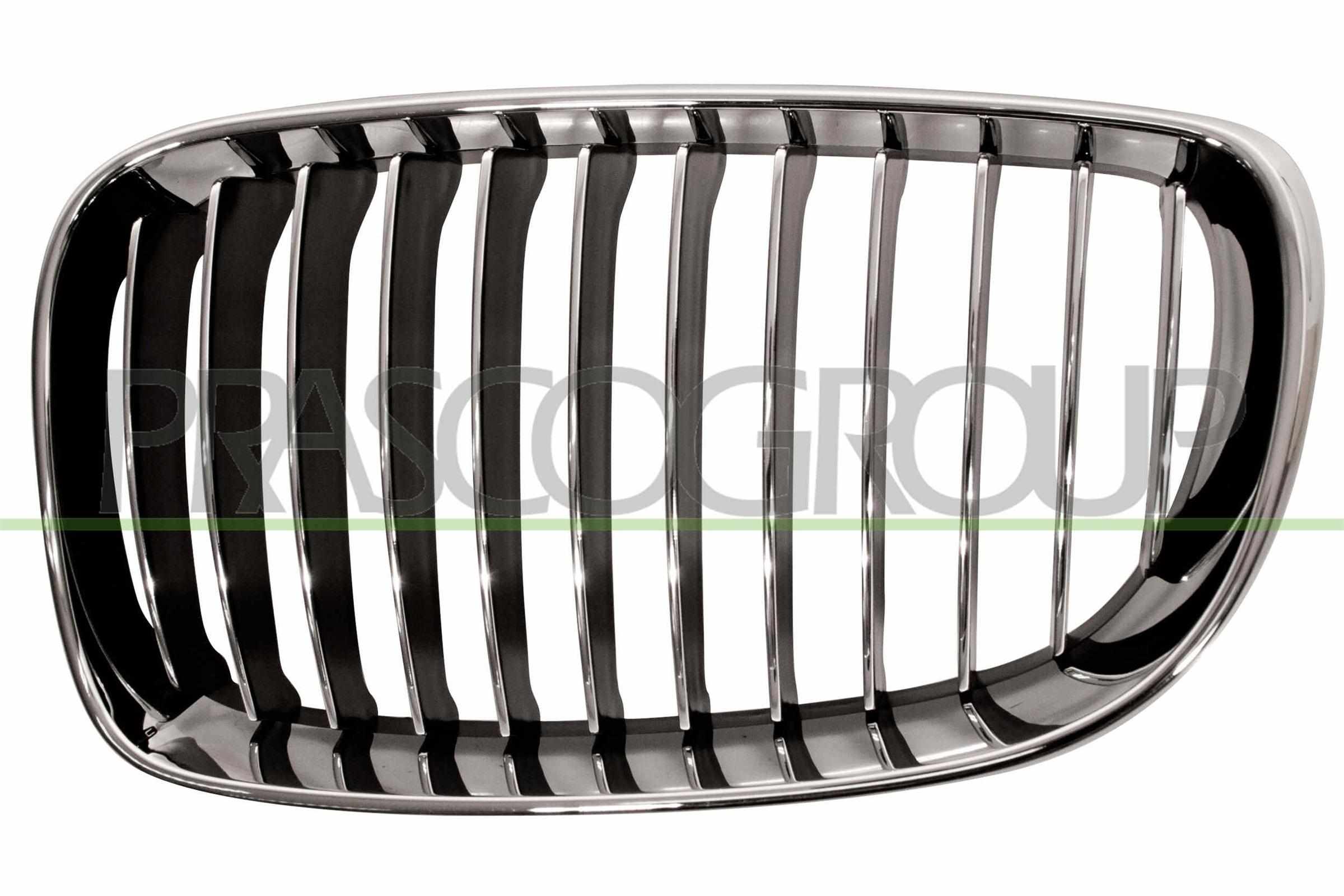 PRASCO Kølergitter bm1212024 venstre for BMW