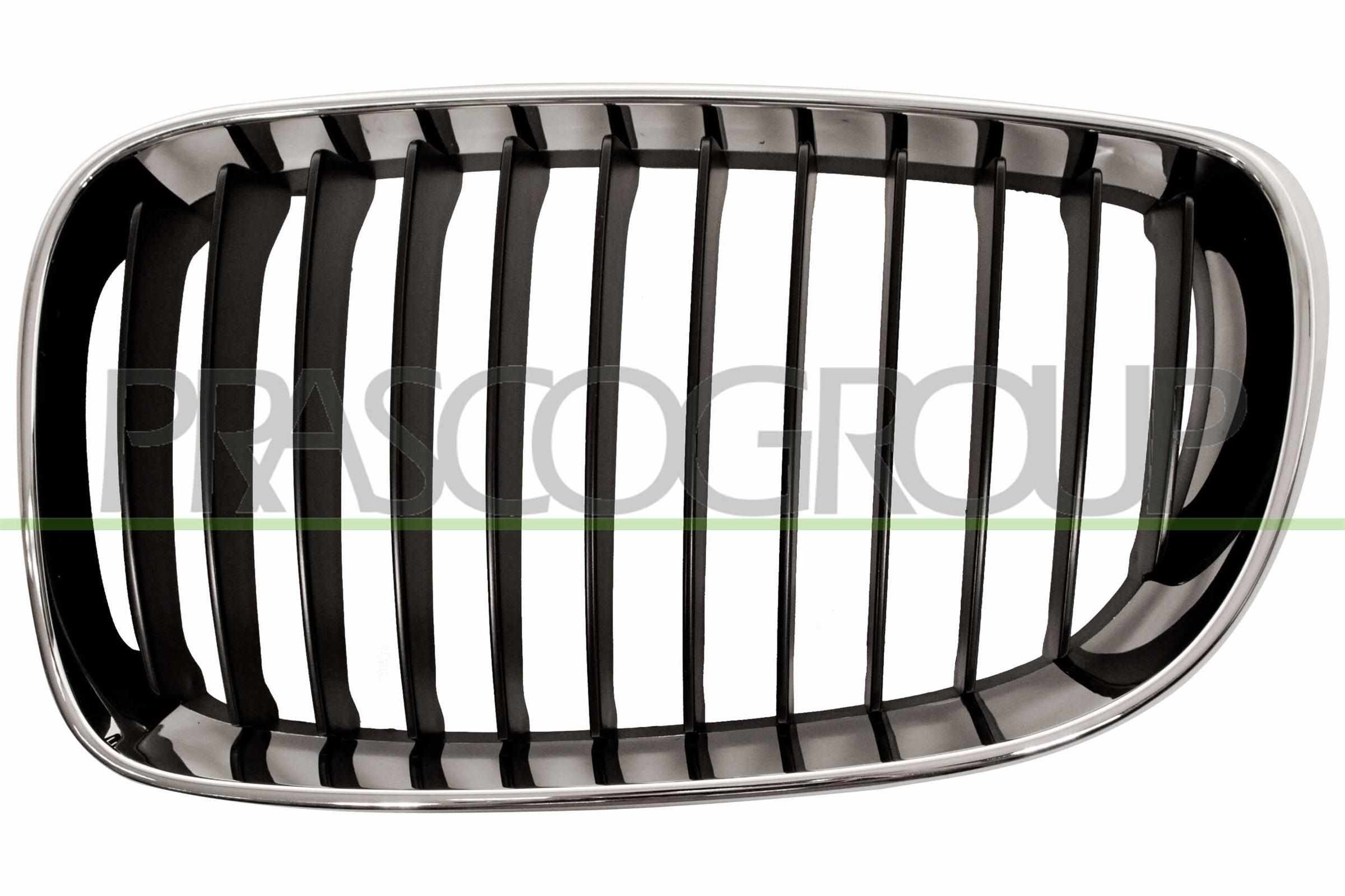 PRASCO Kølergitter bm1212004 venstre for BMW