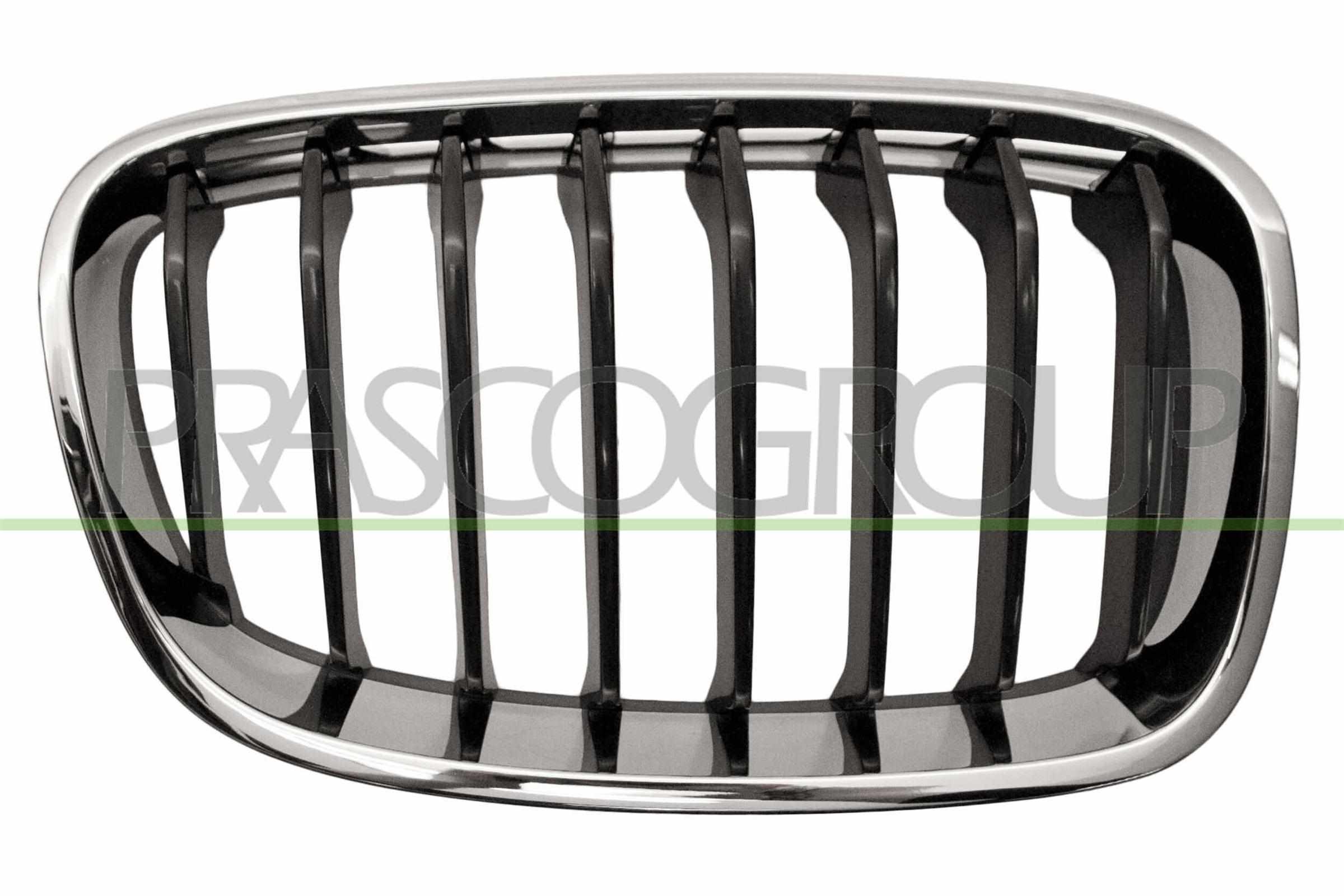 PRASCO Kølergitter bm1232023 højre for BMW