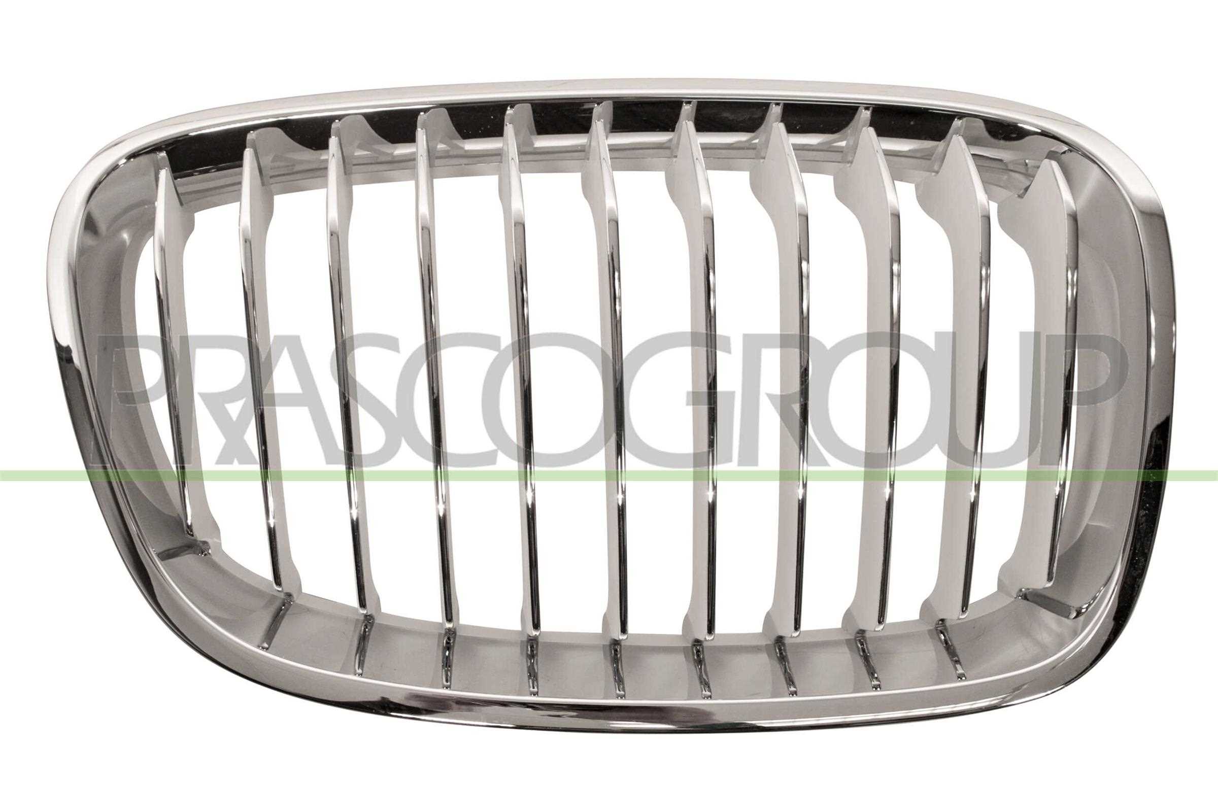 PRASCO Kølergitter bm1232013 højre for BMW