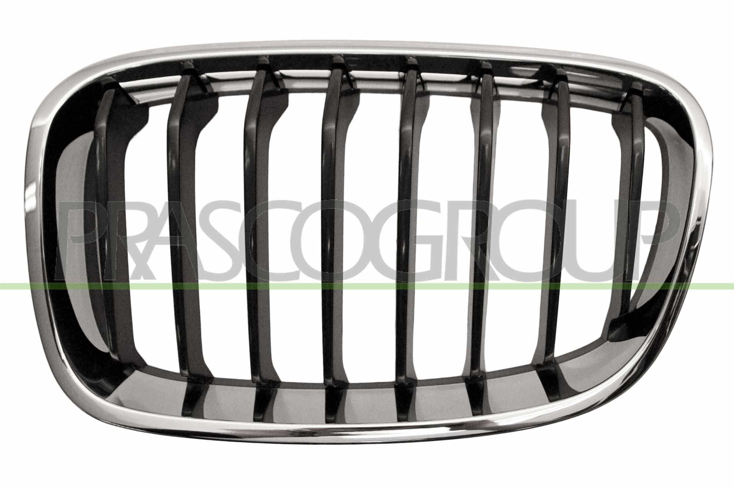 PRASCO Kølergitter bm1232024 venstre for BMW