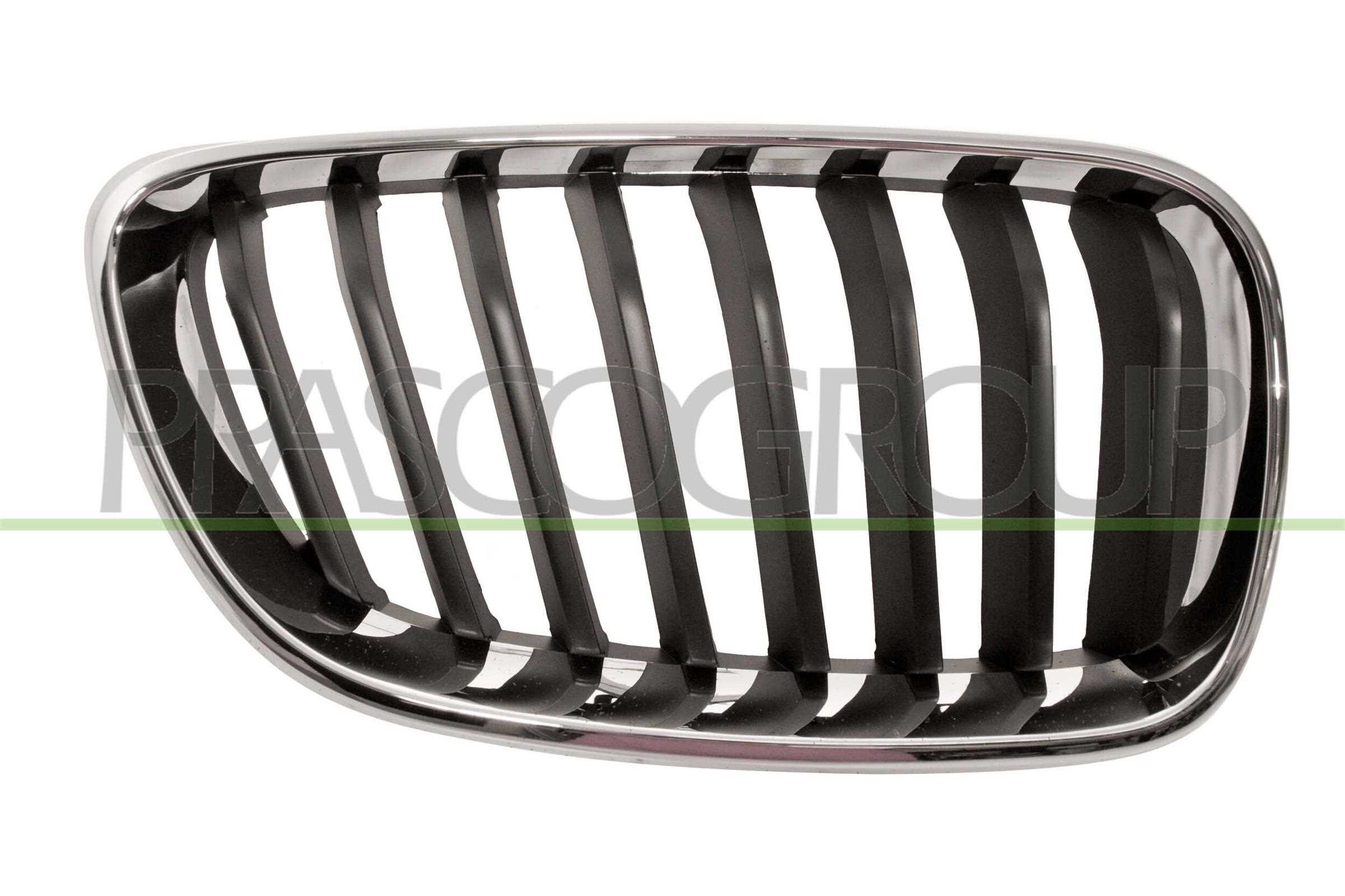 PRASCO Kølergitter bm2502003 højre for BMW