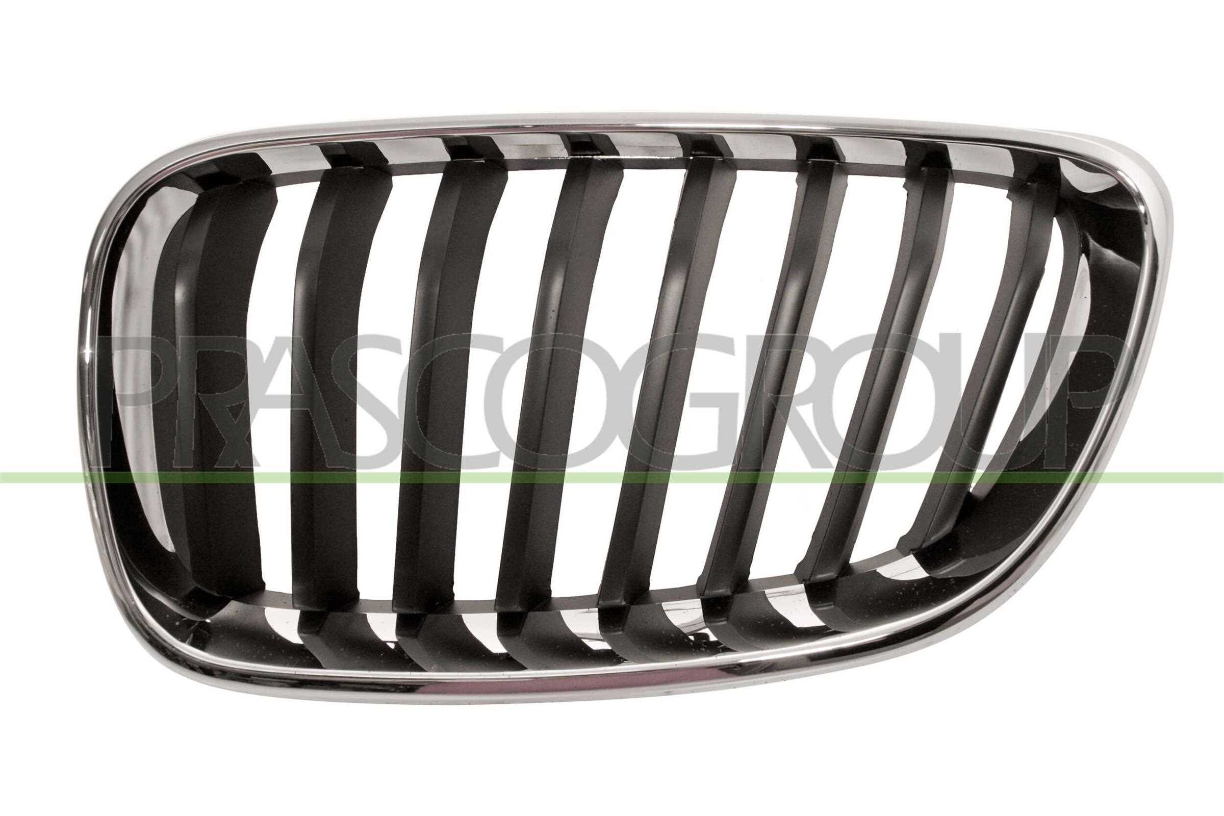 PRASCO Kølergitter bm2502004 venstre for BMW