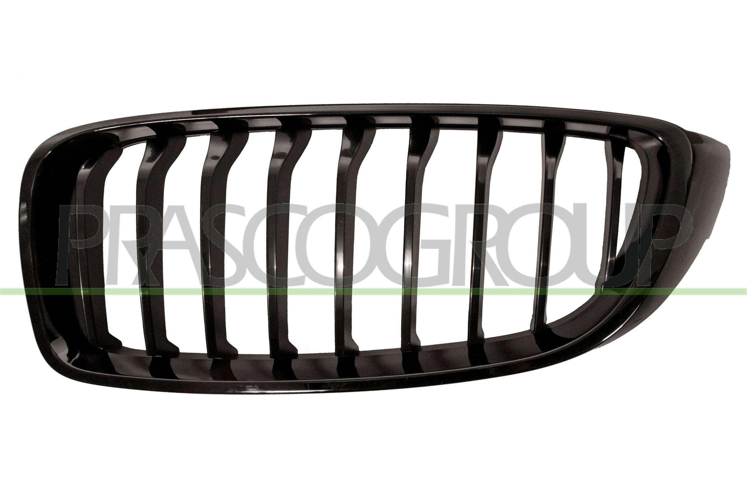 PRASCO Kølergitter bm4002004 venstre for BMW