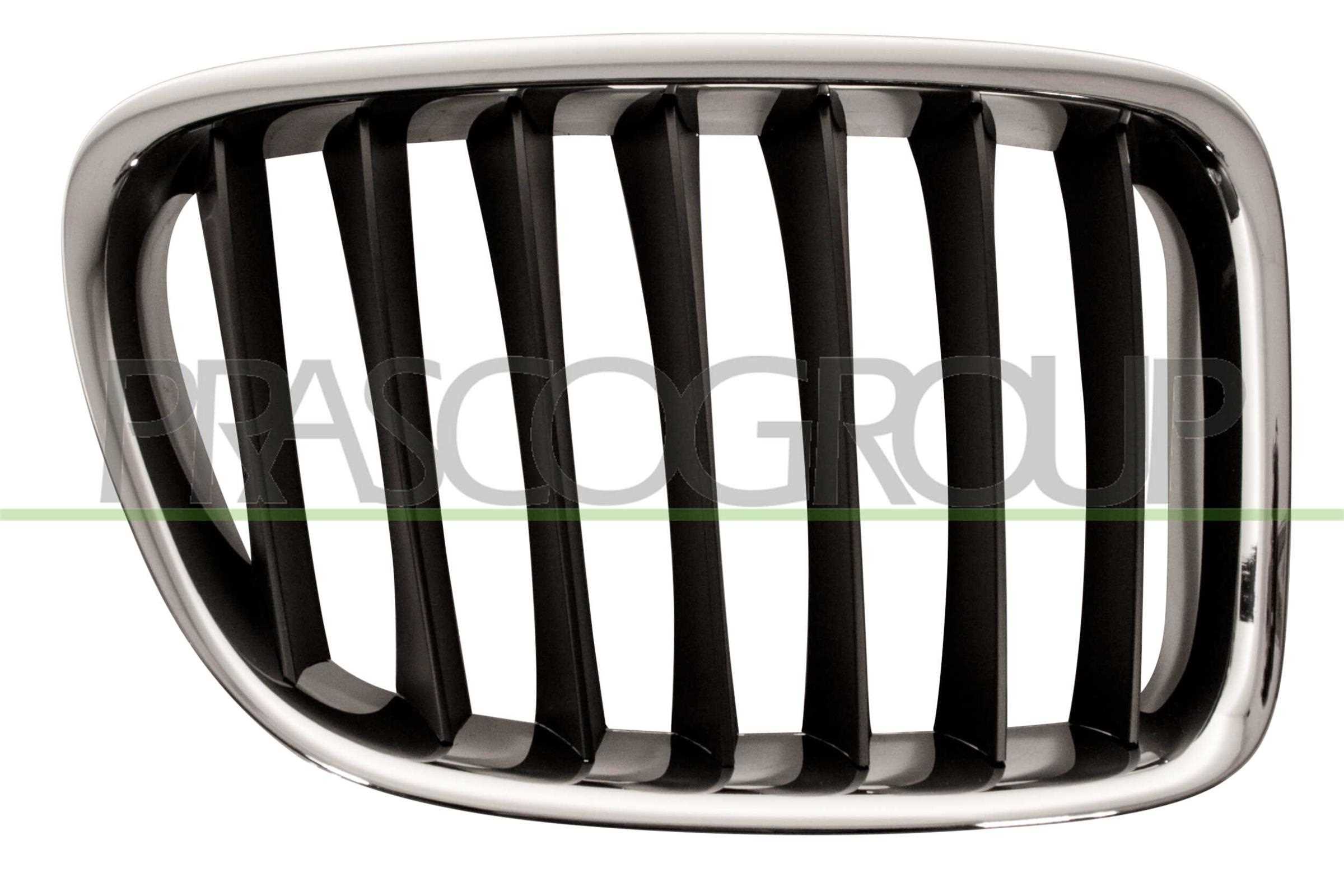 PRASCO Kølergitter bm7022023 højre for BMW