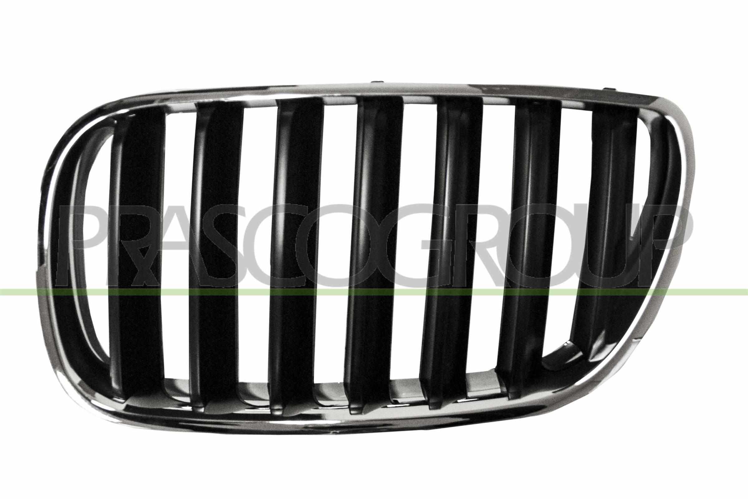 PRASCO Kølergitter bm8032004 venstre for BMW