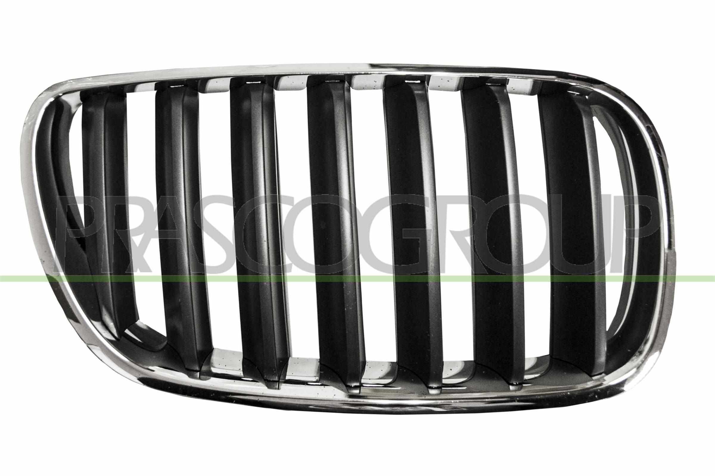 PRASCO Kølergitter bm8032023 højre for BMW