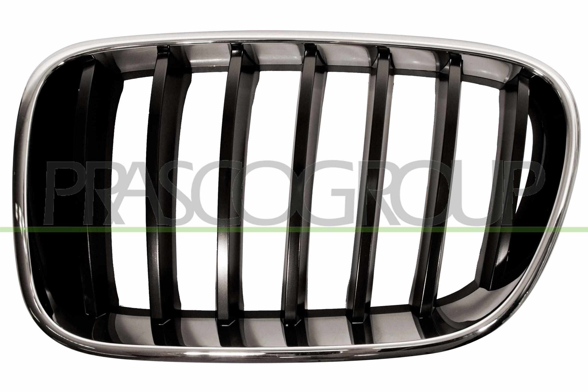 PRASCO Kølergitter bm8042004 venstre for BMW