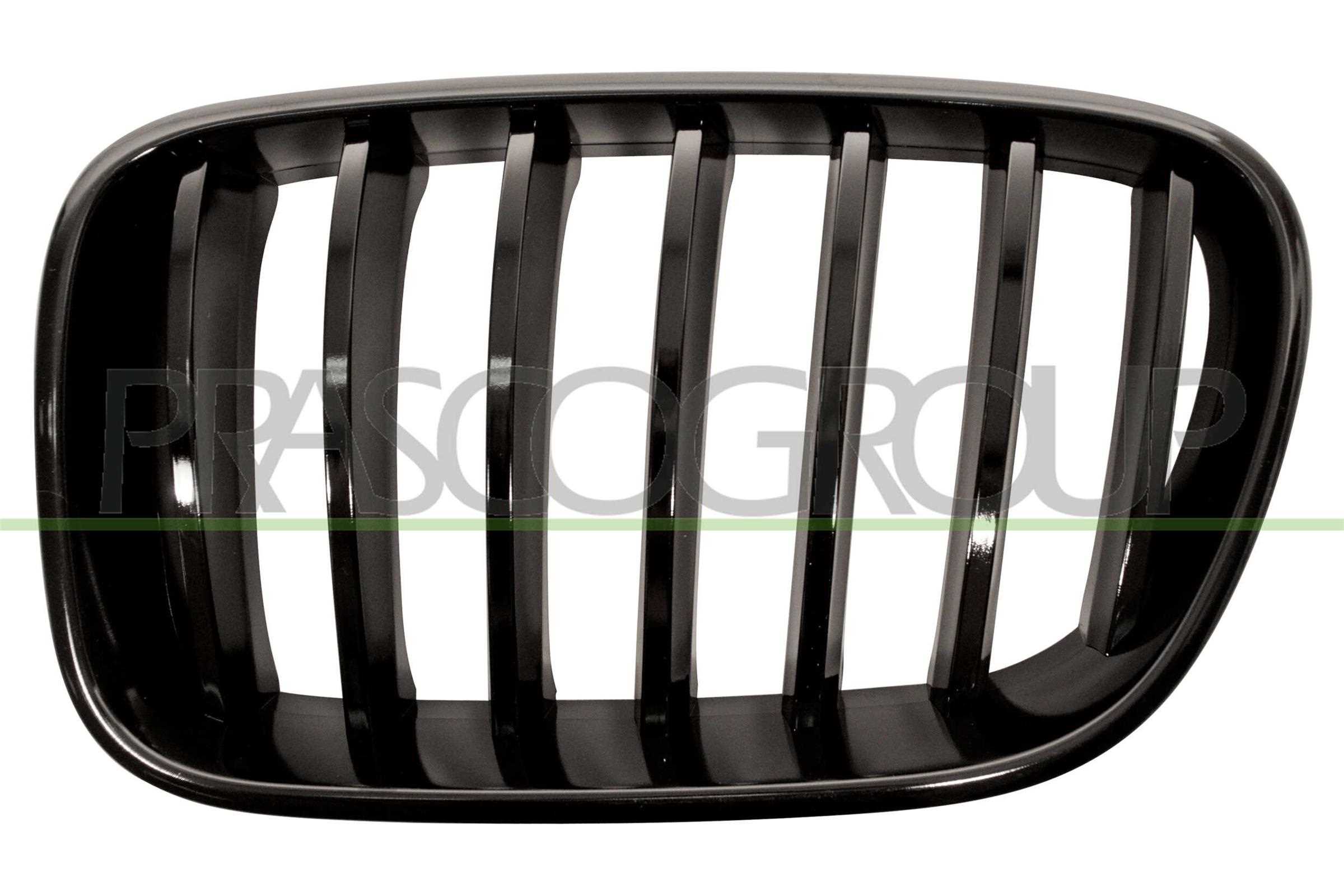 PRASCO Kølergitter bm8052004 venstre for BMW