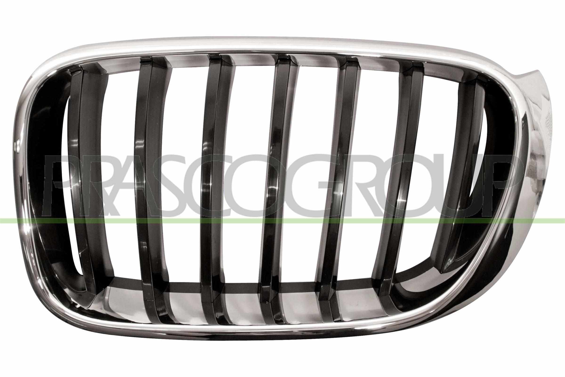 PRASCO Kølergitter bm8062004 venstre for BMW