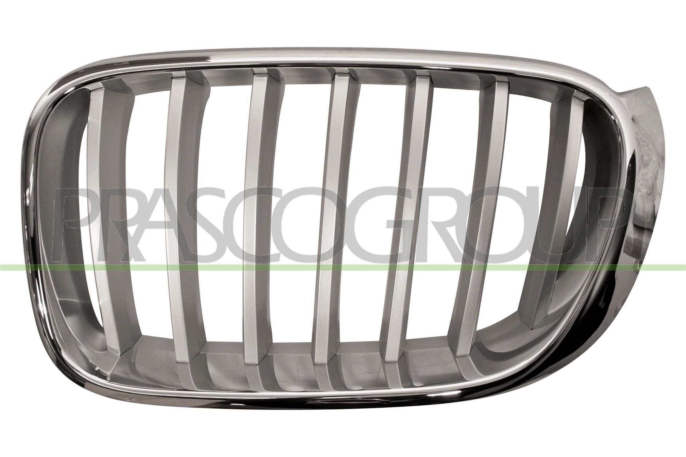 PRASCO Kølergitter bm8062014 venstre for BMW