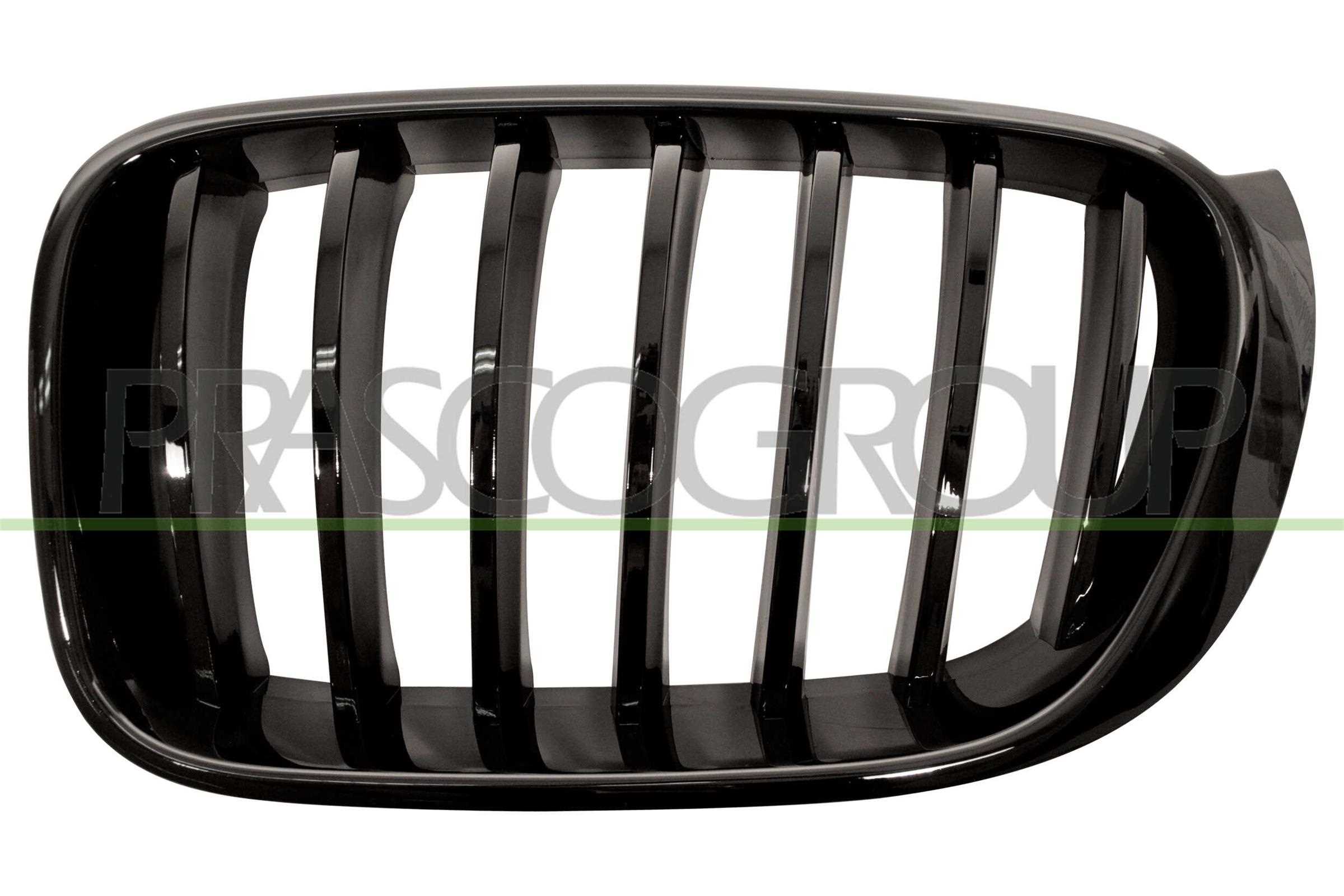 PRASCO Kølergitter bm8072004 venstre for BMW