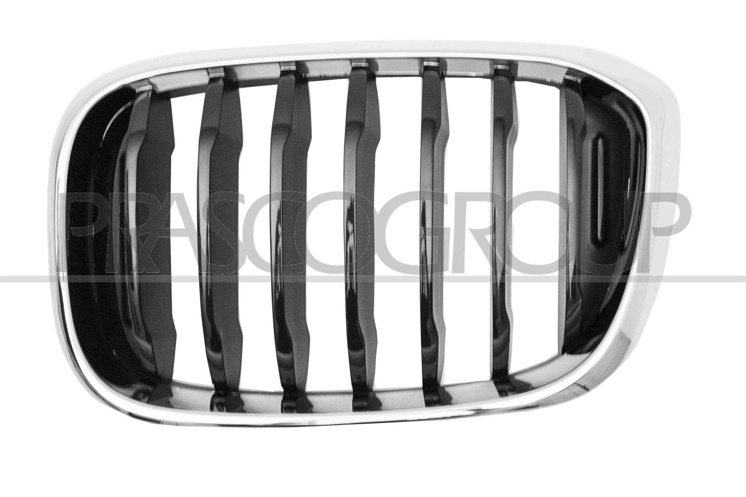 PRASCO Kølergitter bm8082004 venstre for BMW