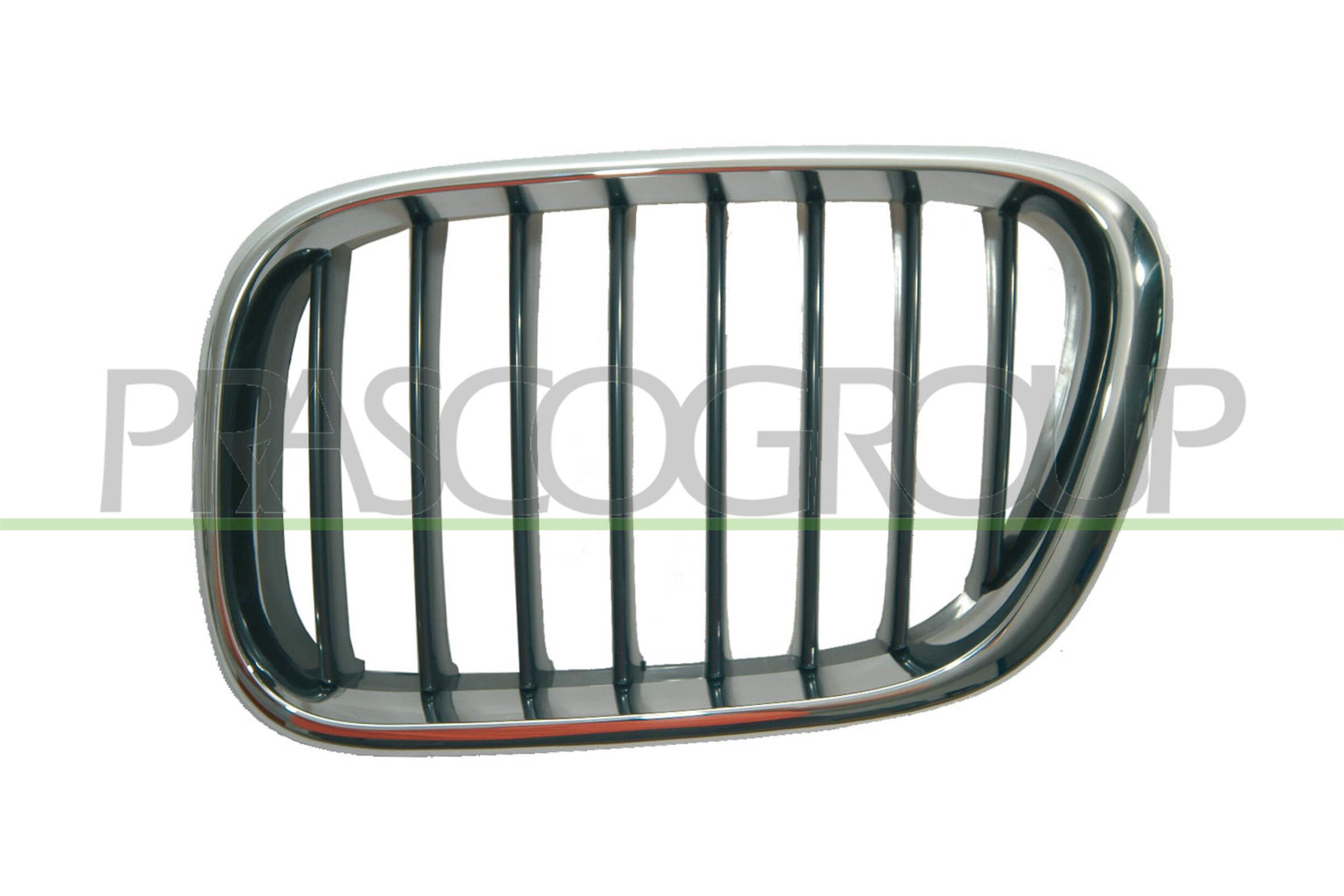 PRASCO Kølergitter bm8202004 venstre for BMW