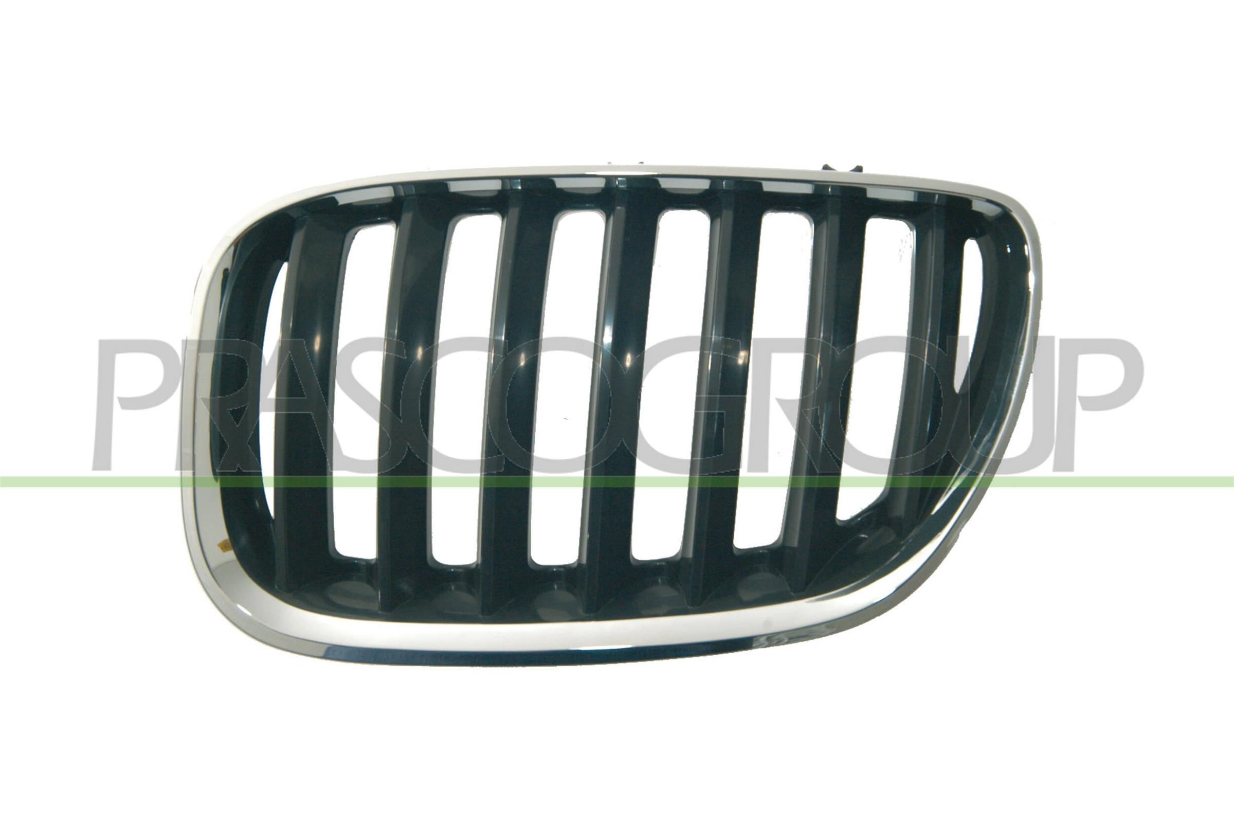 PRASCO Kølergitter bm8202024 venstre for BMW