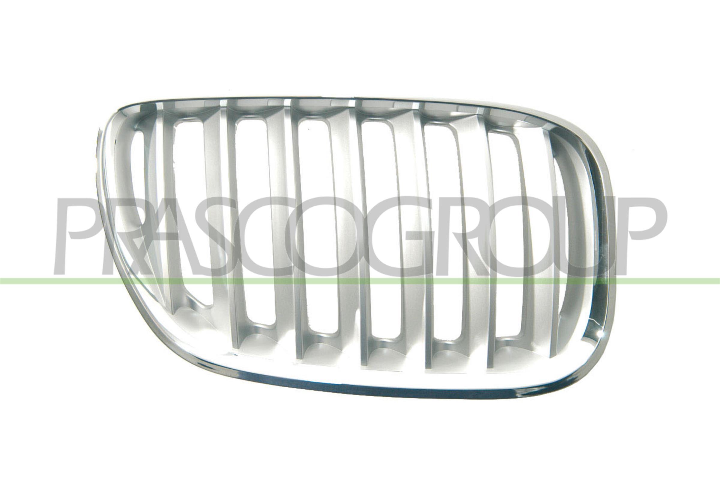 PRASCO Kølergitter bm8202033 højre for BMW