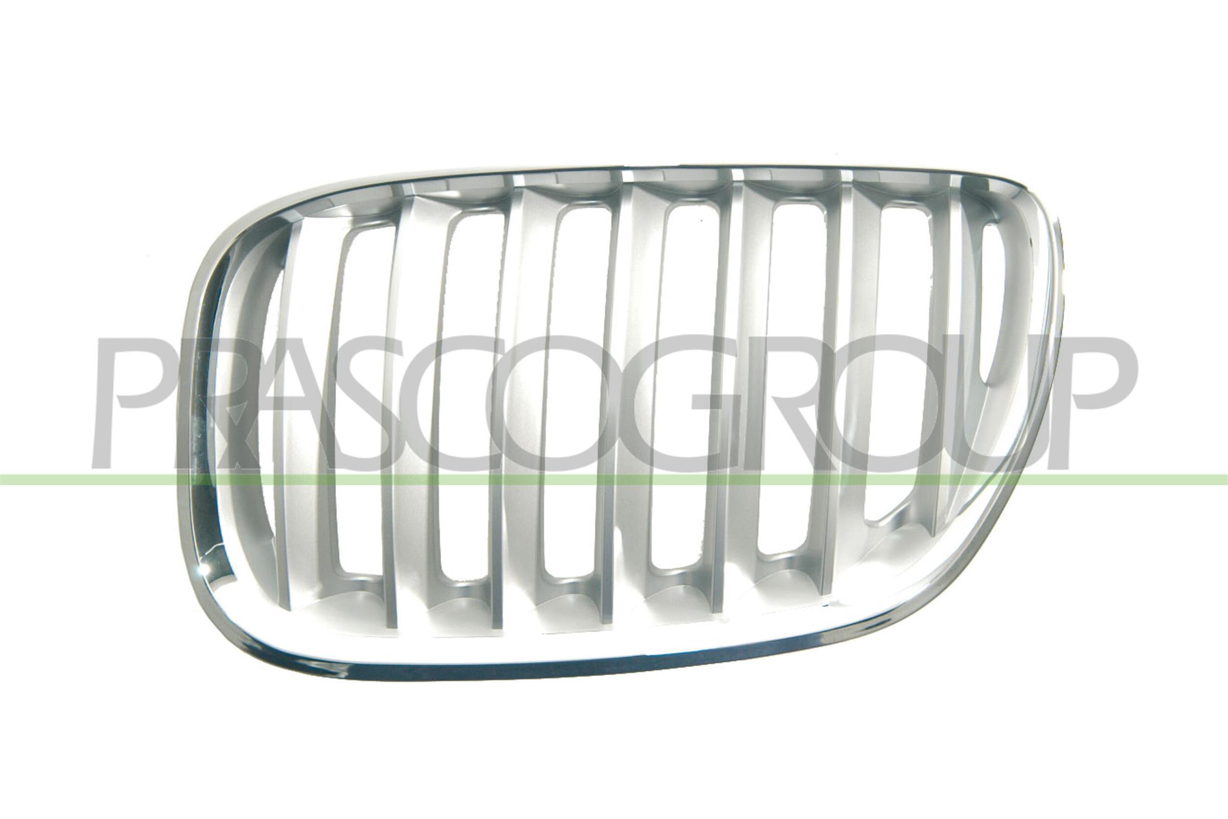 PRASCO Kølergitter bm8202034 venstre for BMW