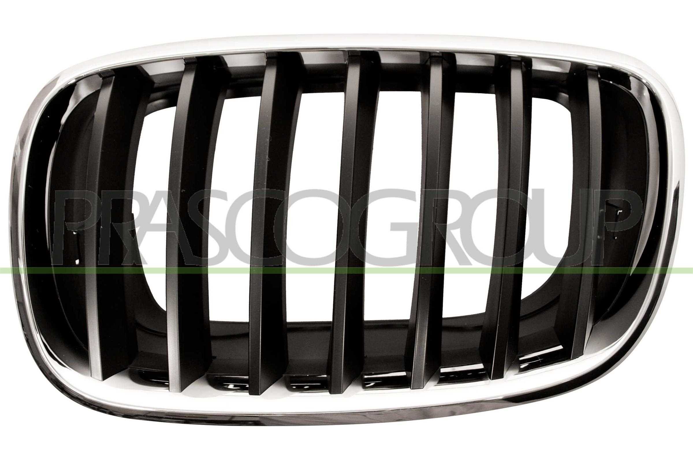 PRASCO Kølergitter bm8222004 venstre for BMW