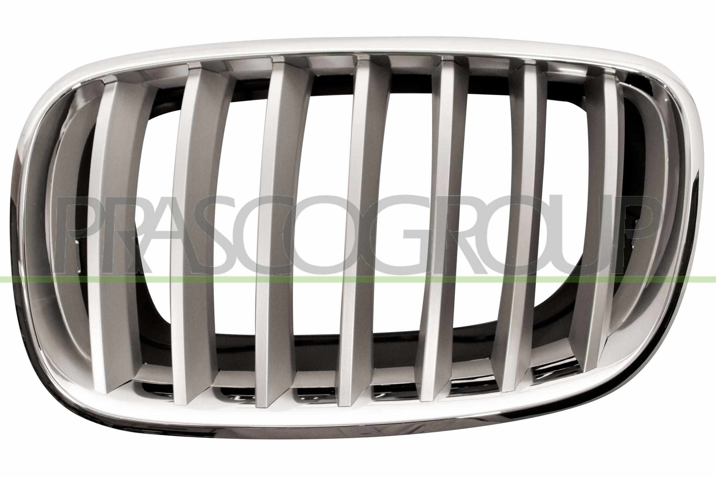 PRASCO Kølergitter bm8222014 venstre for BMW
