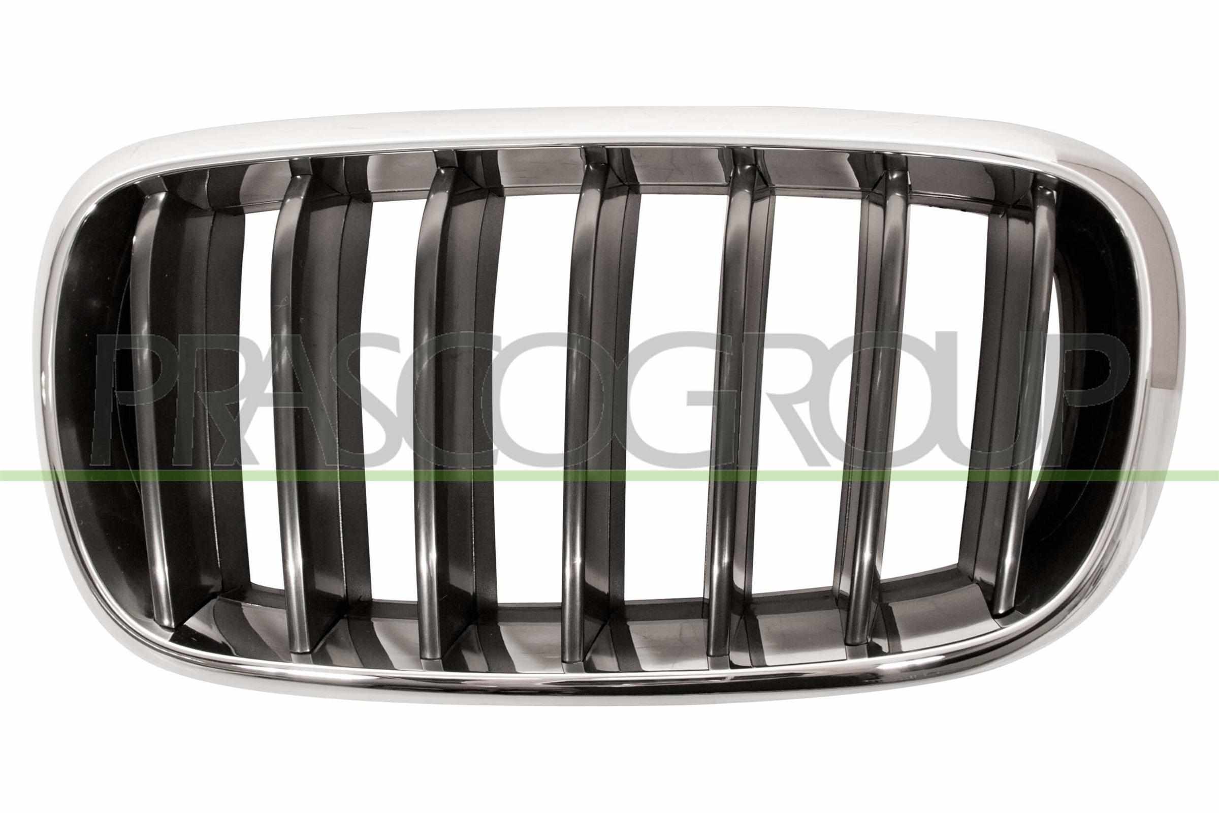 PRASCO Kølergitter bm8262004 venstre for BMW