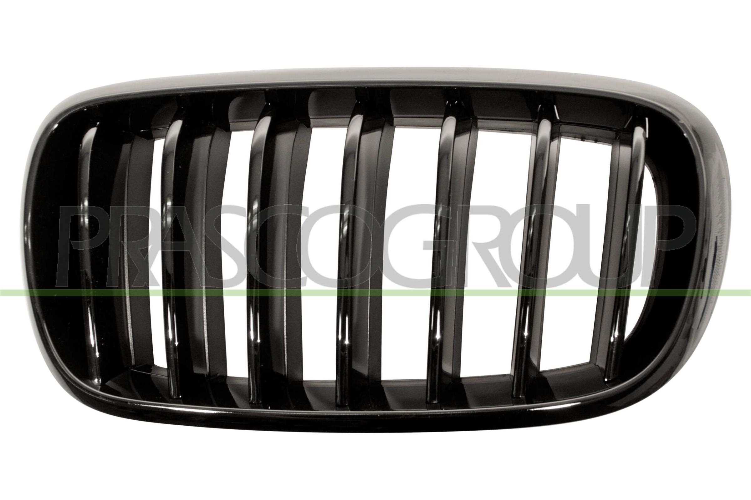 PRASCO Kølergitter bm8272004 venstre for BMW