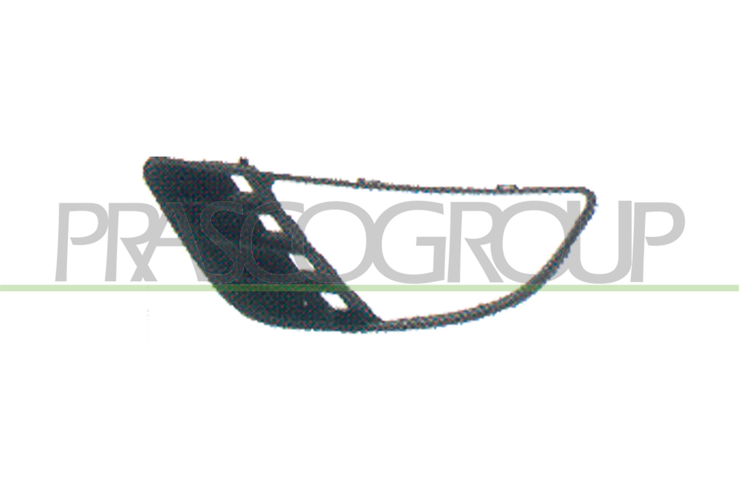 PRASCO Kofangergitter fd3402134 foran til venstre for FORD
