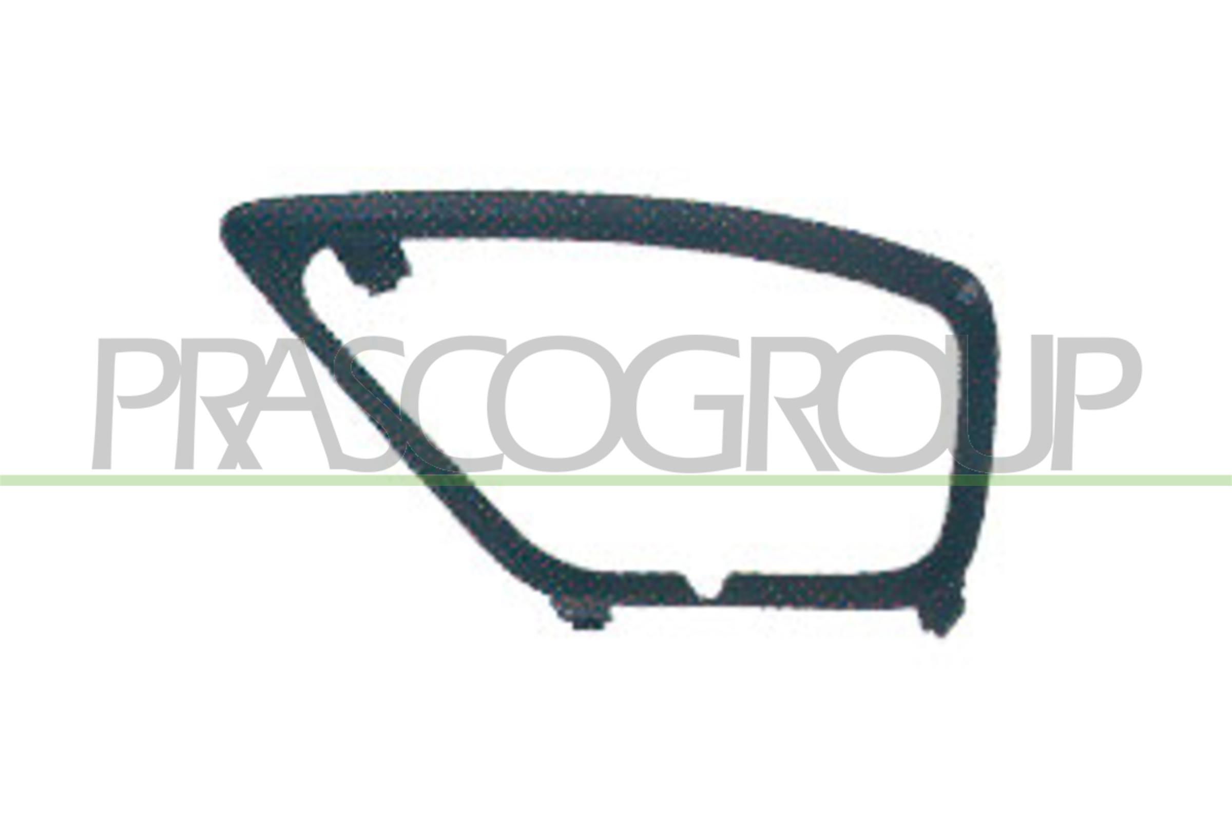 PRASCO Kofangergitter fd4222134 foran til venstre for FORD