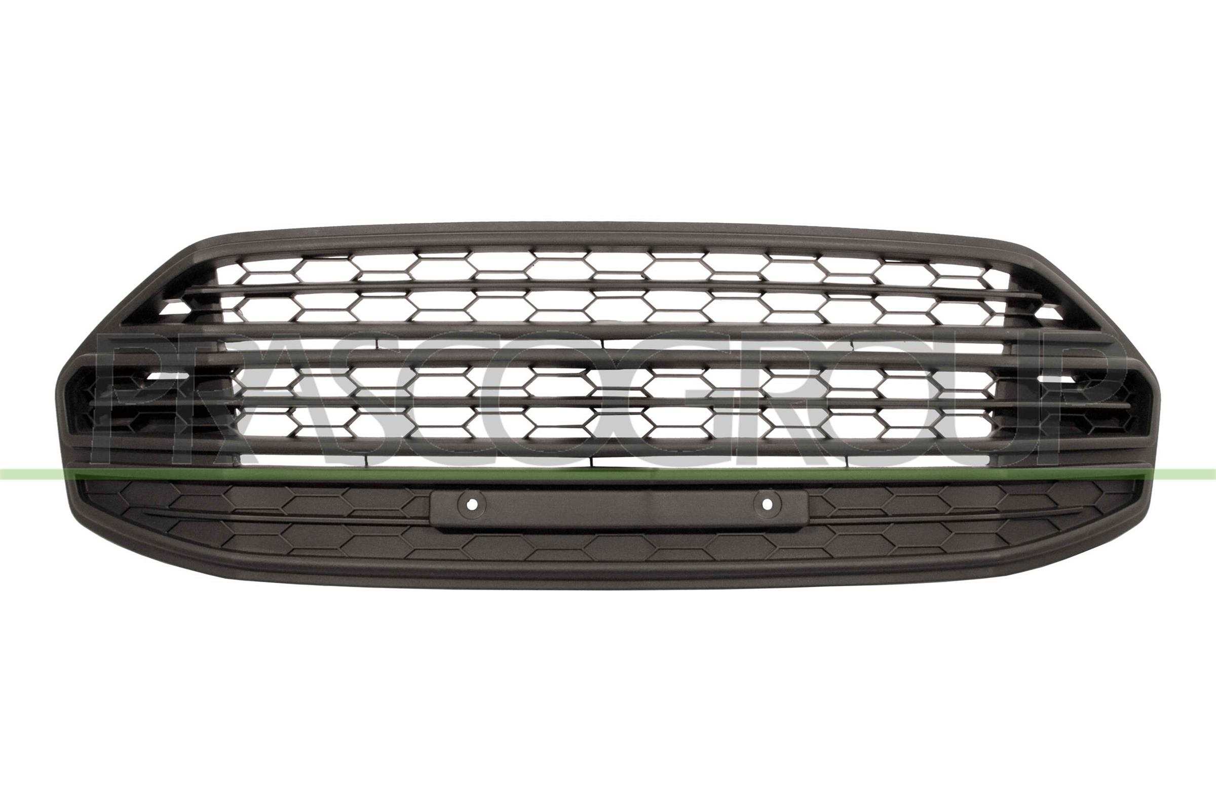 PRASCO Kofangergitter fd7502120 foran for FORD