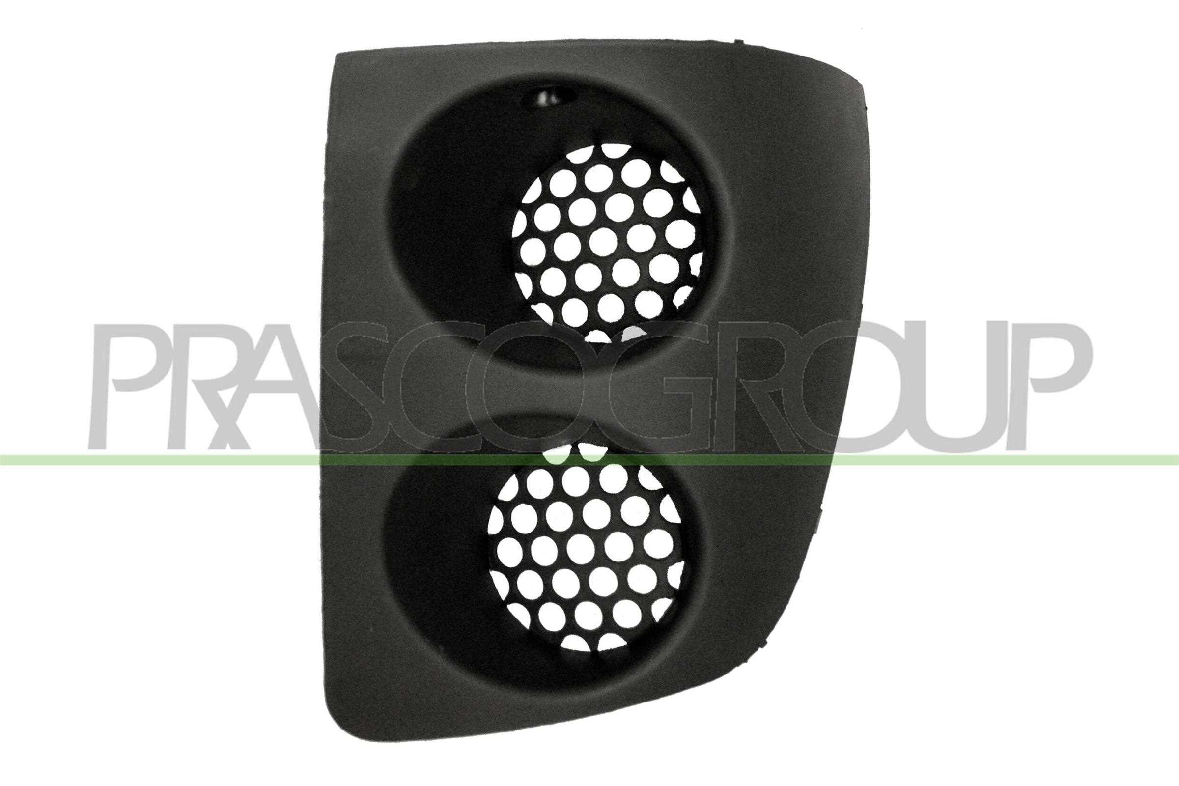 PRASCO Kofangergitter ft1142134 foran til venstre for FIAT