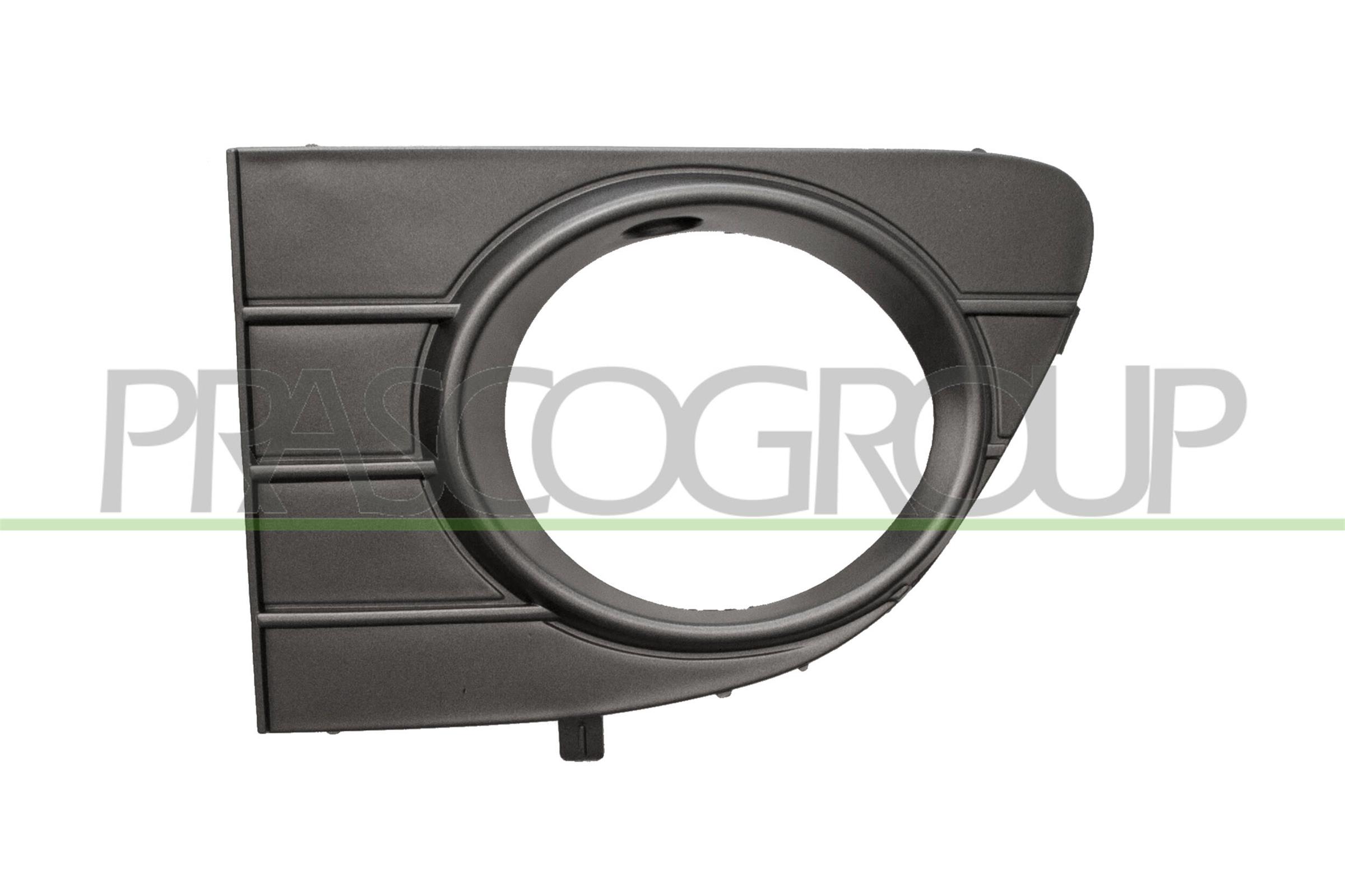 PRASCO Kofangergitter ft3442134 foran til venstre for FIAT