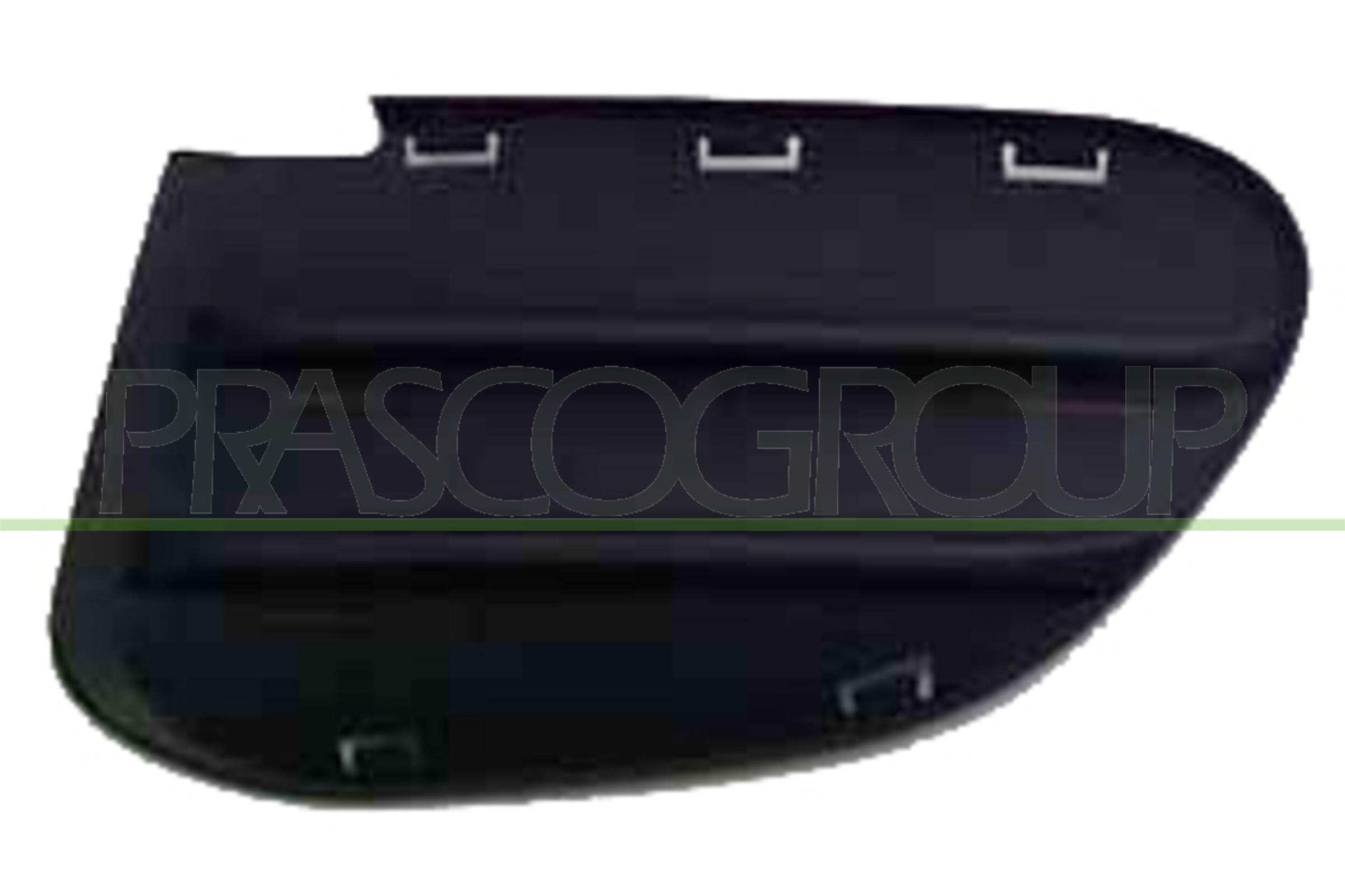 PRASCO Kofangergitter ft7172124 foran til venstre for FIAT