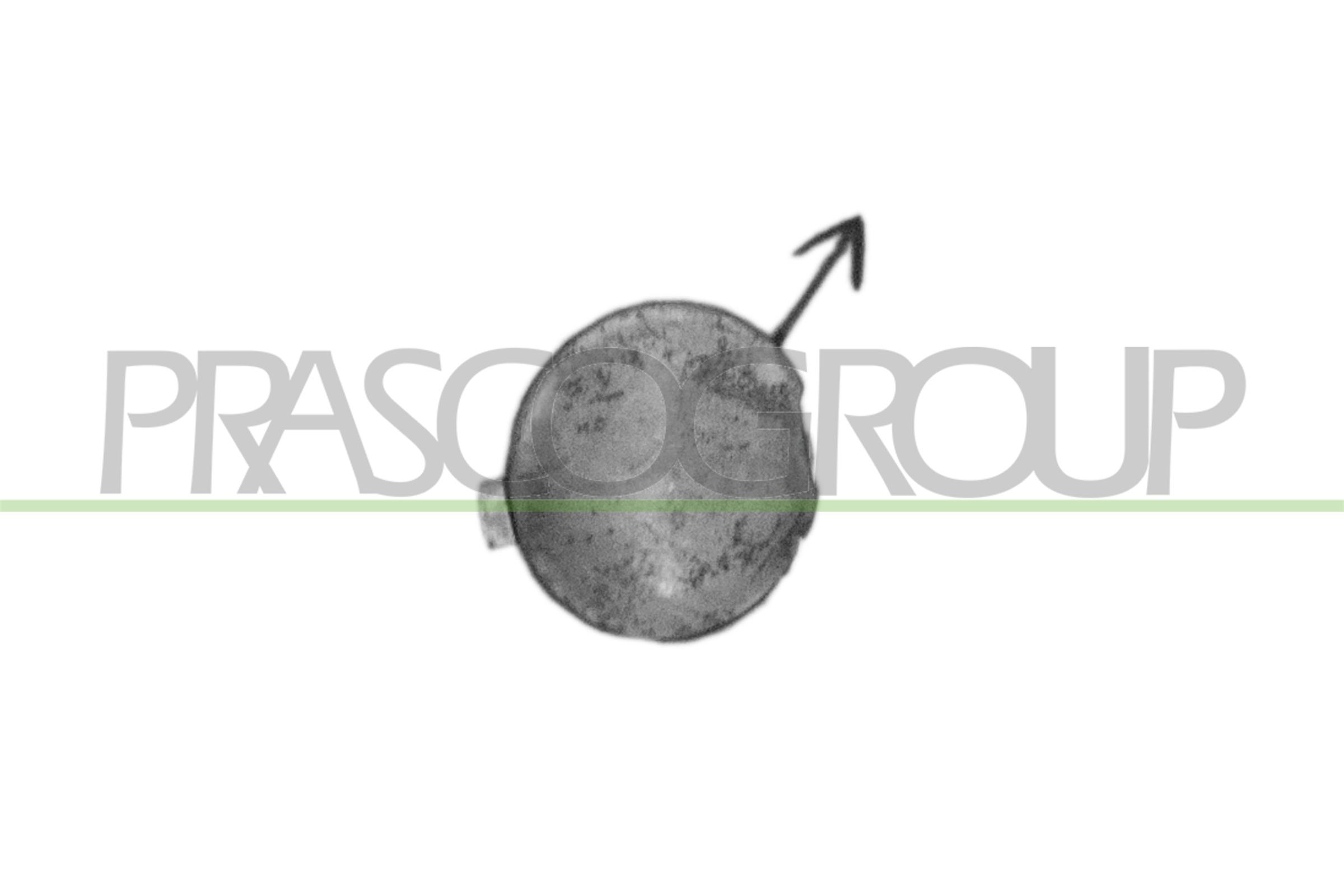 PRASCO mz3261236 foran for MAZDA