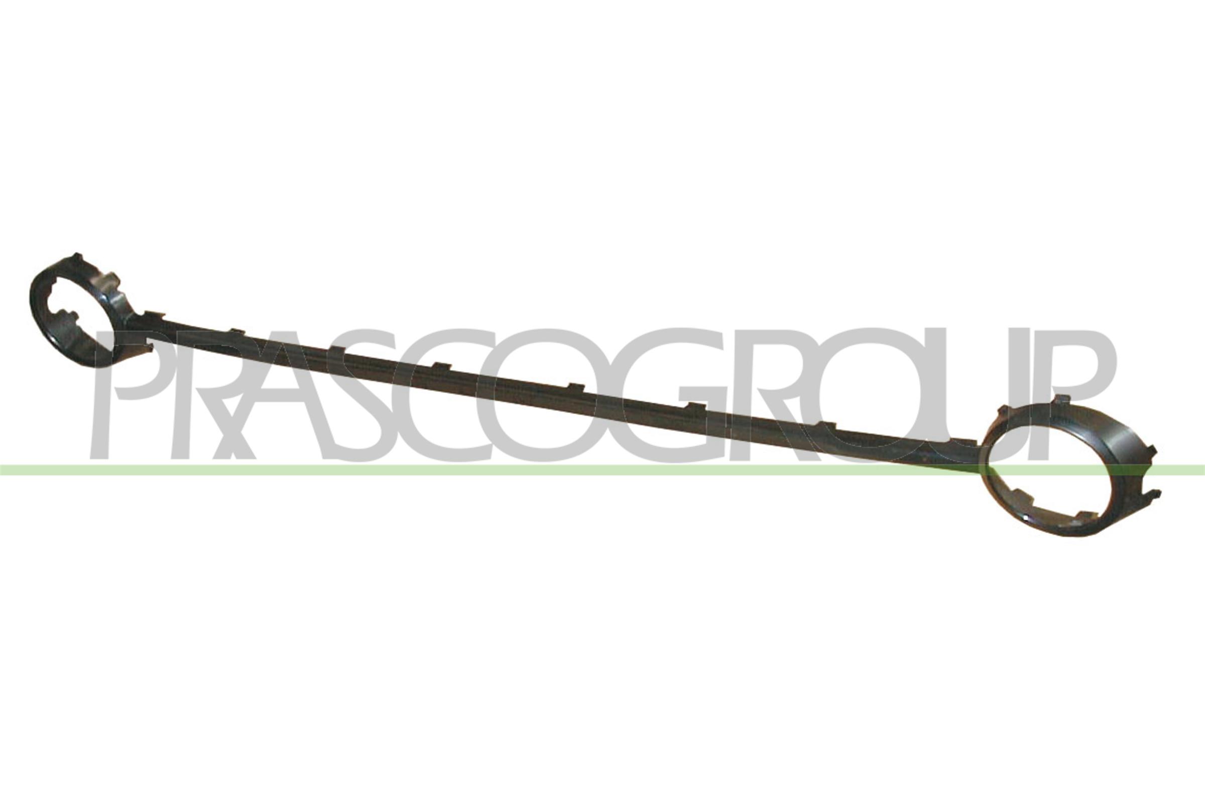 PRASCO Pynte-/beskyttelsesliste, kofanger vg4202206 foran for VW