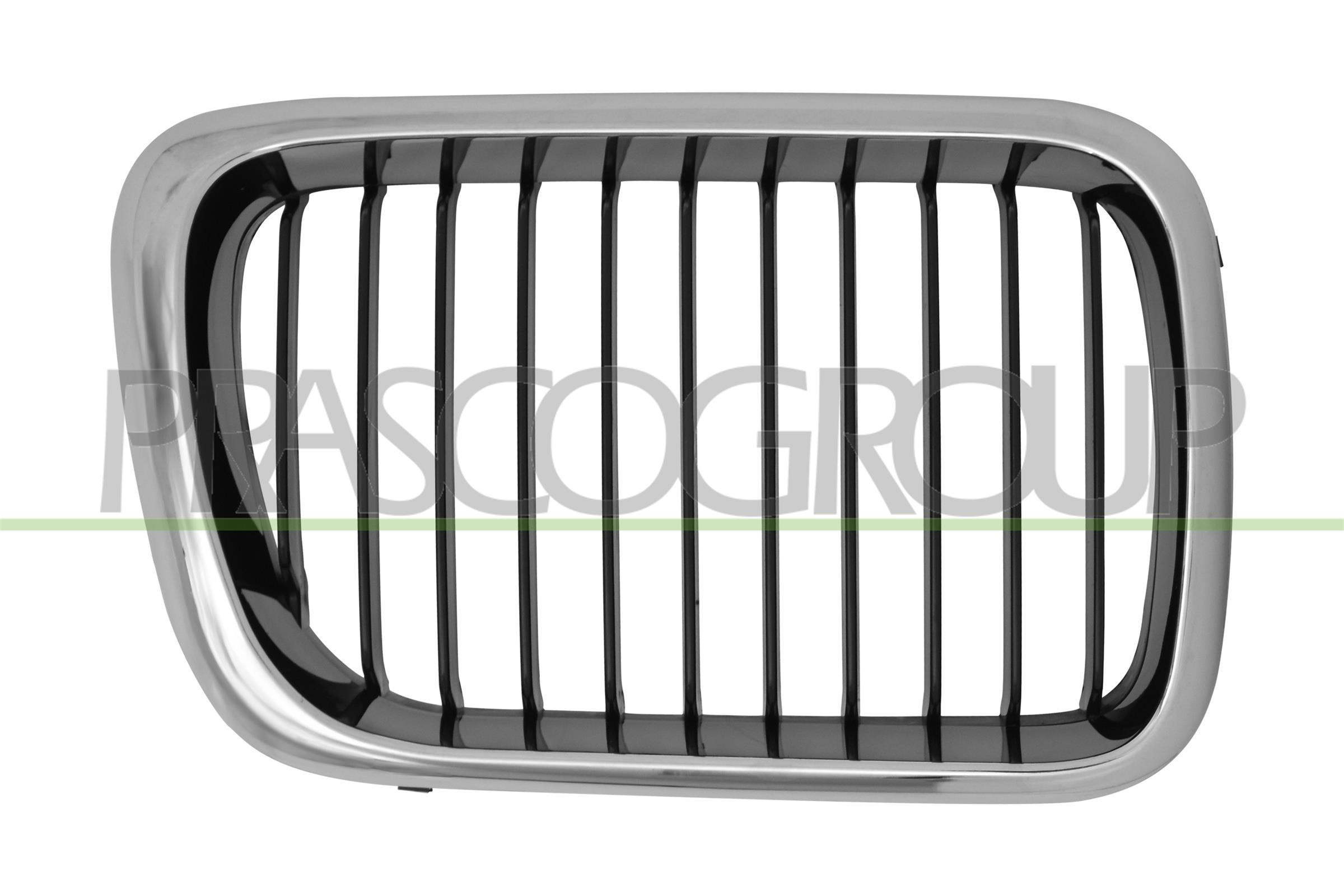 PRASCO Kølergitter bm0142123 højre for BMW