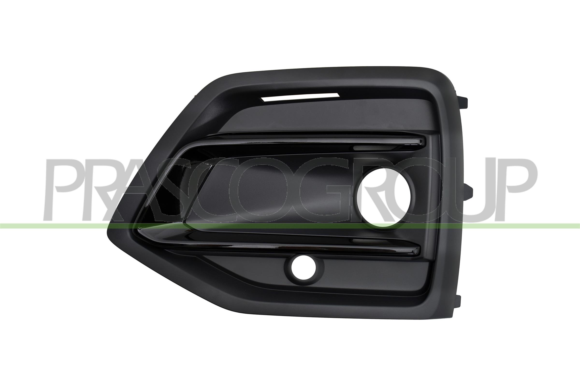 PRASCO Kofangergitter ad8262134 foran til venstre for AUDI