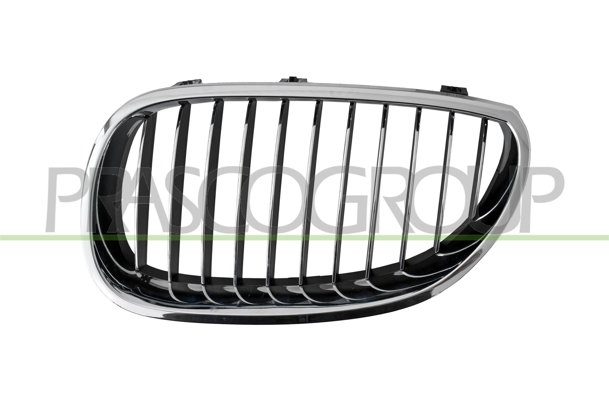 PRASCO Kølergitter bm0462014 venstre for BMW